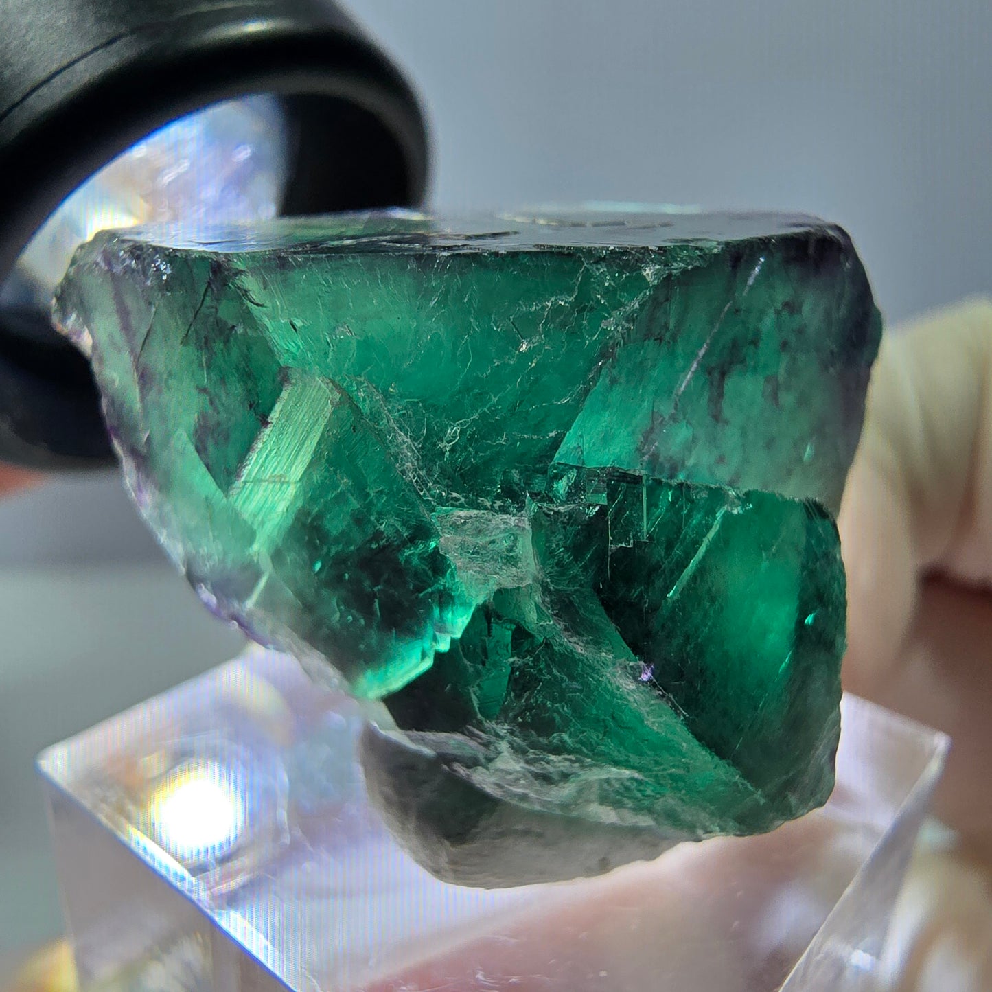 Phantom Fluorit Würfel Stufe, parkettiert grün lila Okorusu, Namibia 25*24*22mm