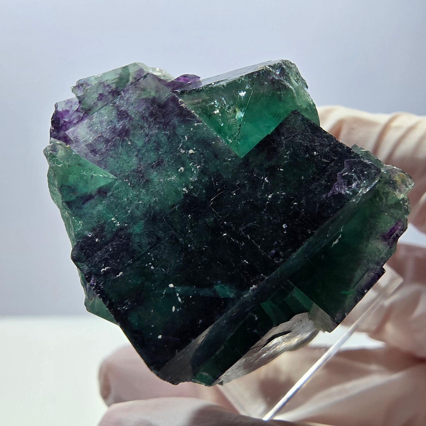 Phantom Fluorit Würfel Stufe, parkettiert grün lila Okorusu, Namibia 42*32*23mm