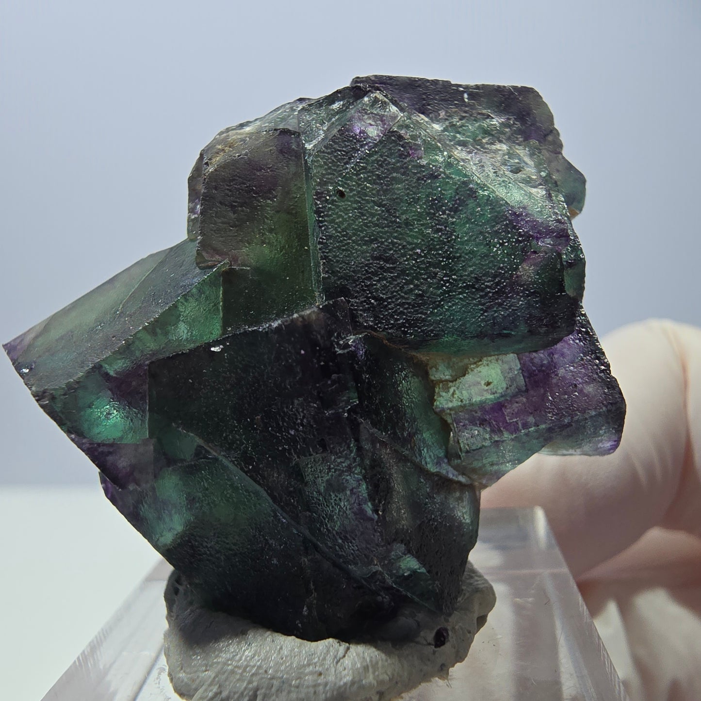 Phantom Fluorit Würfel Stufe, parkettiert grün lila Okorusu, Namibia 39*31*18mm