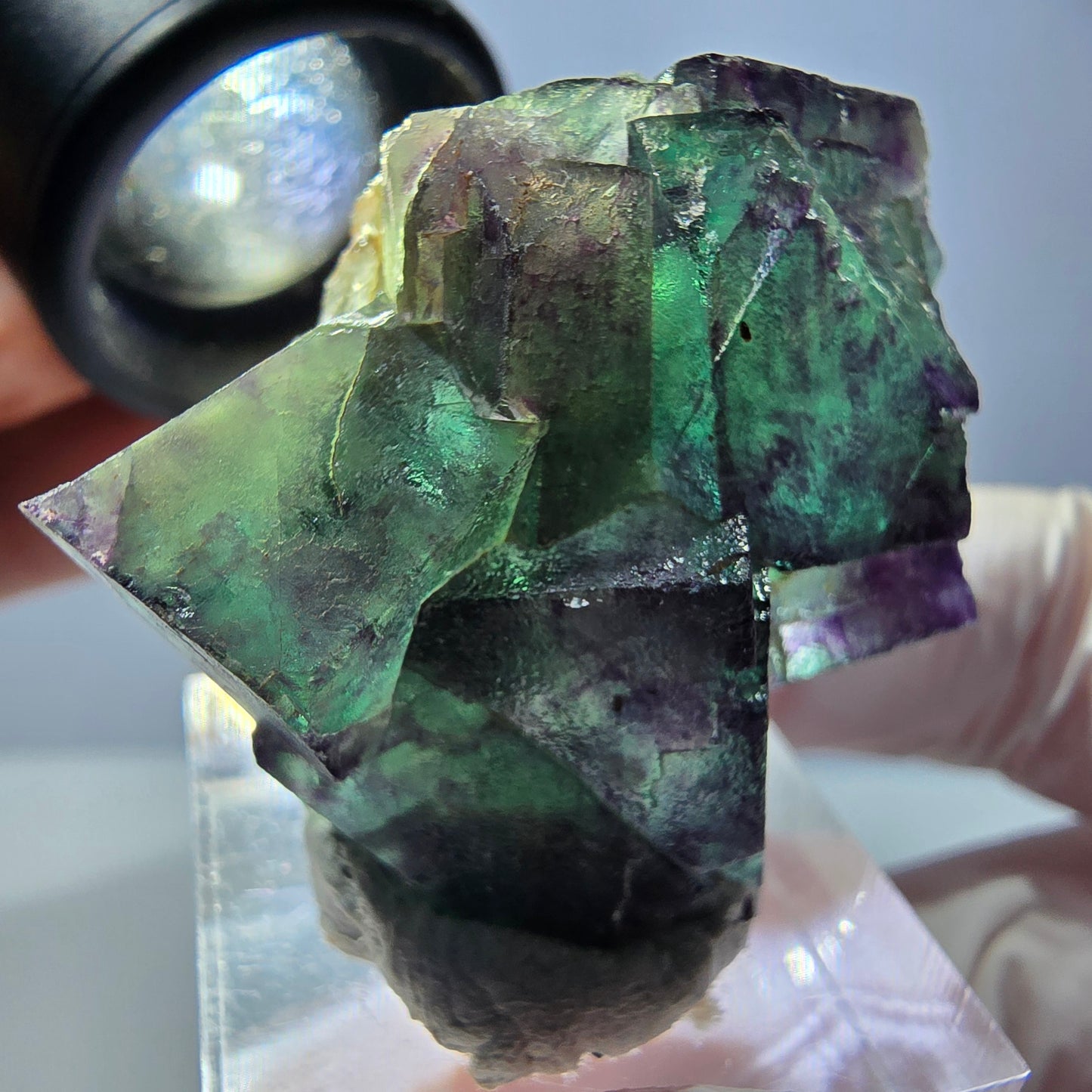 Phantom Fluorit Würfel Stufe, parkettiert grün lila Okorusu, Namibia 39*31*18mm