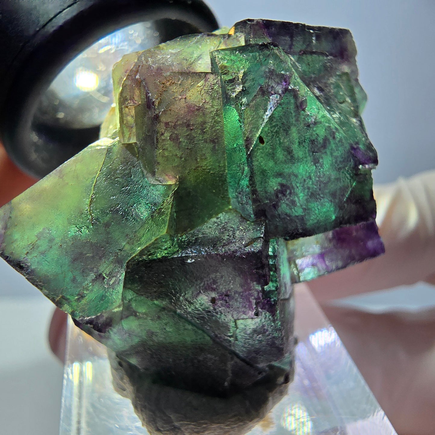 Phantom Fluorit Würfel Stufe, parkettiert grün lila Okorusu, Namibia 39*31*18mm