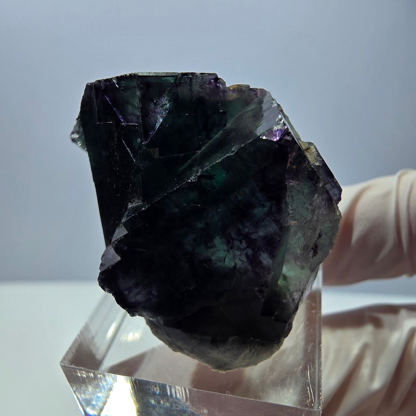 Phantom Fluorit Würfel Stufe, parkettiert grün lila Okorusu, Namibia 41*28*22mm
