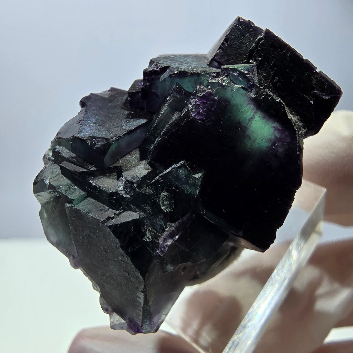 Phantom Fluorit Würfel Stufe, parkettiert grün lila Okorusu, Namibia 35*28*27mm