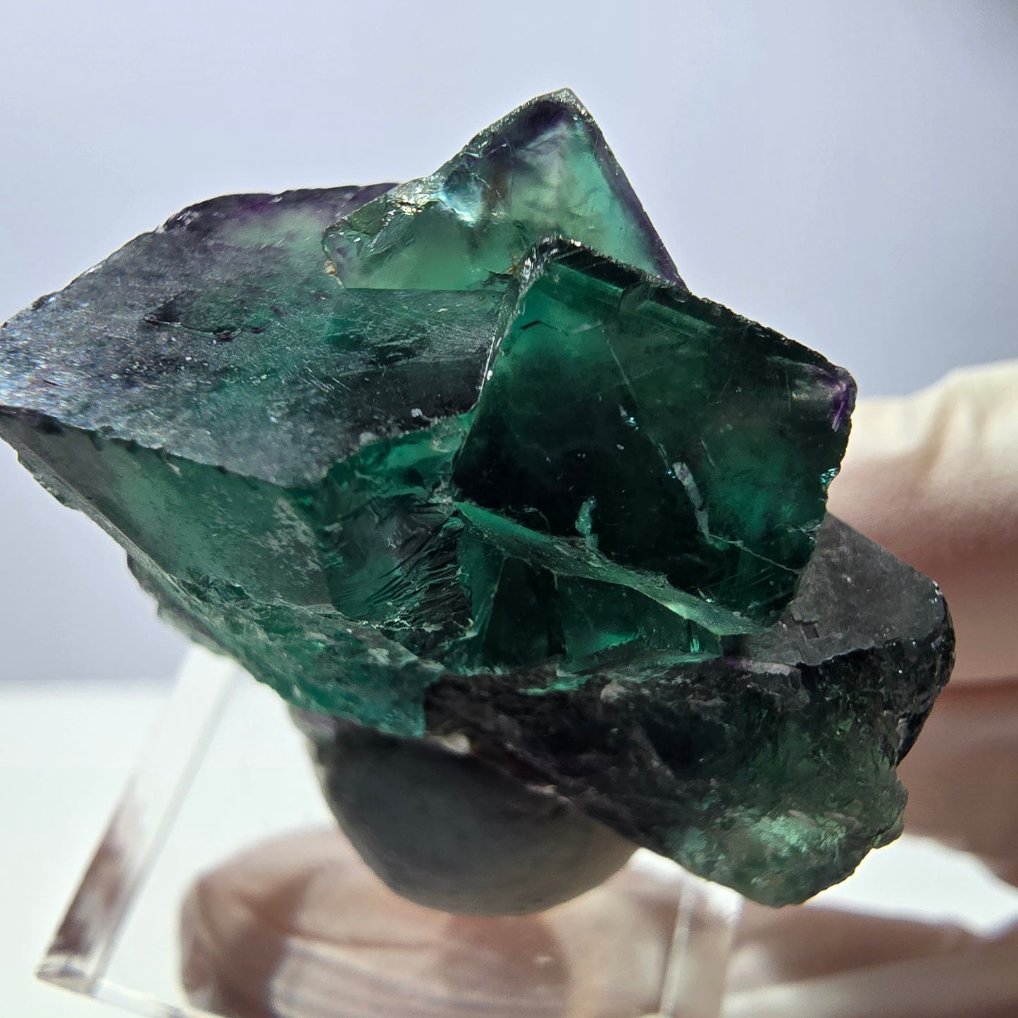 Phantom Fluorit Würfel Stufe, parkettiert grün lila Okorusu, Namibia 31*30*20mm