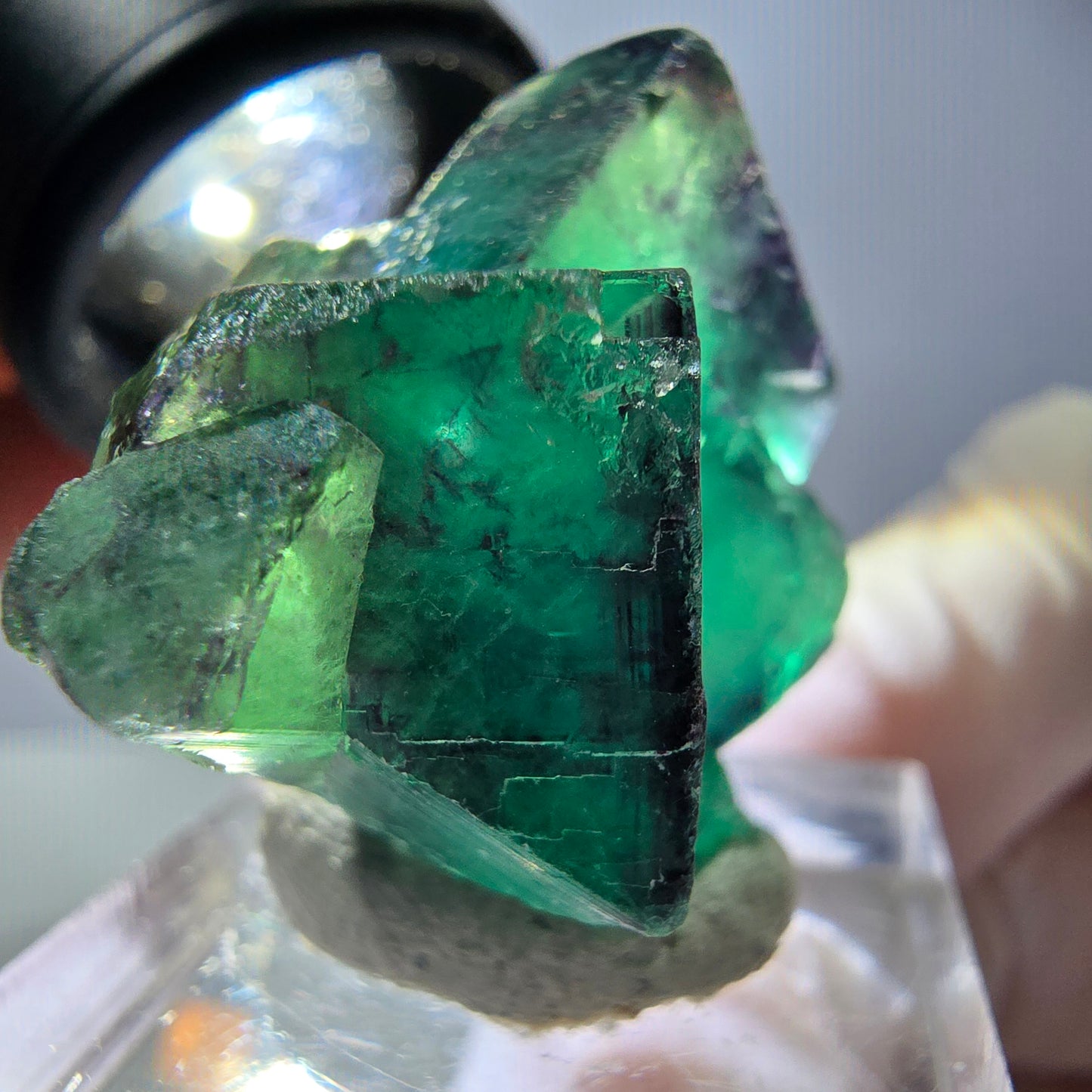Phantom Fluorit Würfel Stufe, parkettiert grün lila Okorusu, Namibia 37*27*19mm