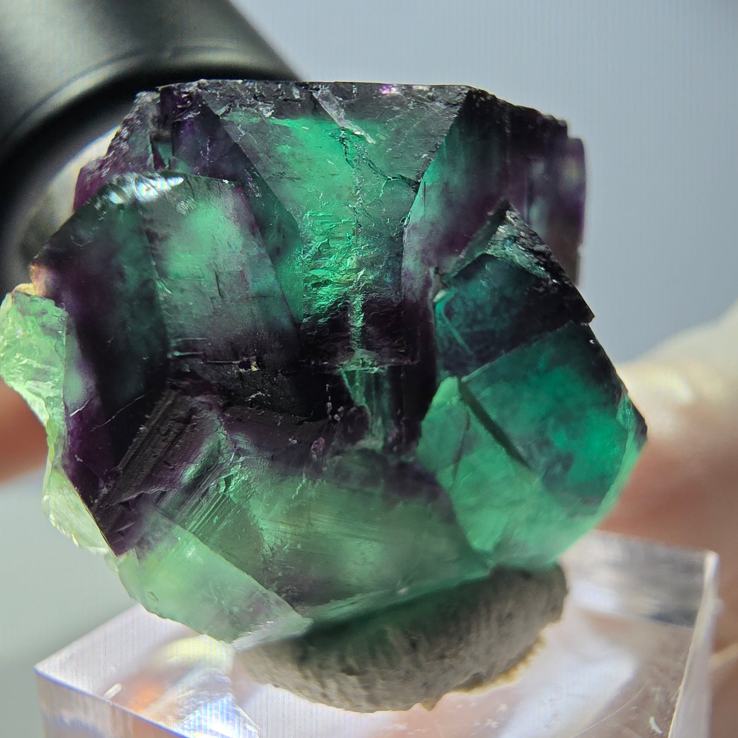 Phantom Fluorit Würfel Stufe, parkettiert grün lila Okorusu, Namibia 39*32*20mm