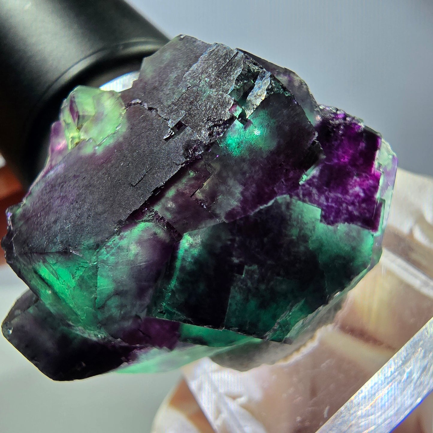 Phantom Fluorit Würfel Stufe, parkettiert grün lila Okorusu, Namibia 39*32*20mm