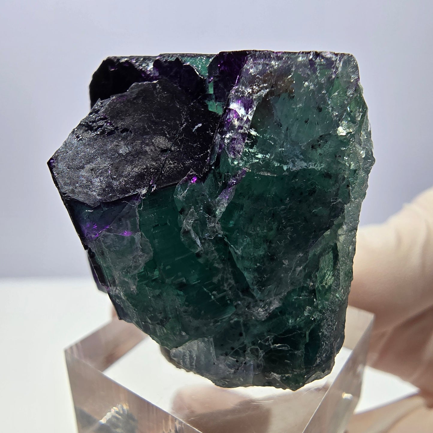 Phantom Fluorit Würfel Stufe grün lila zonal 11:11 Angel Pocket, Namibia 37*33*28mm