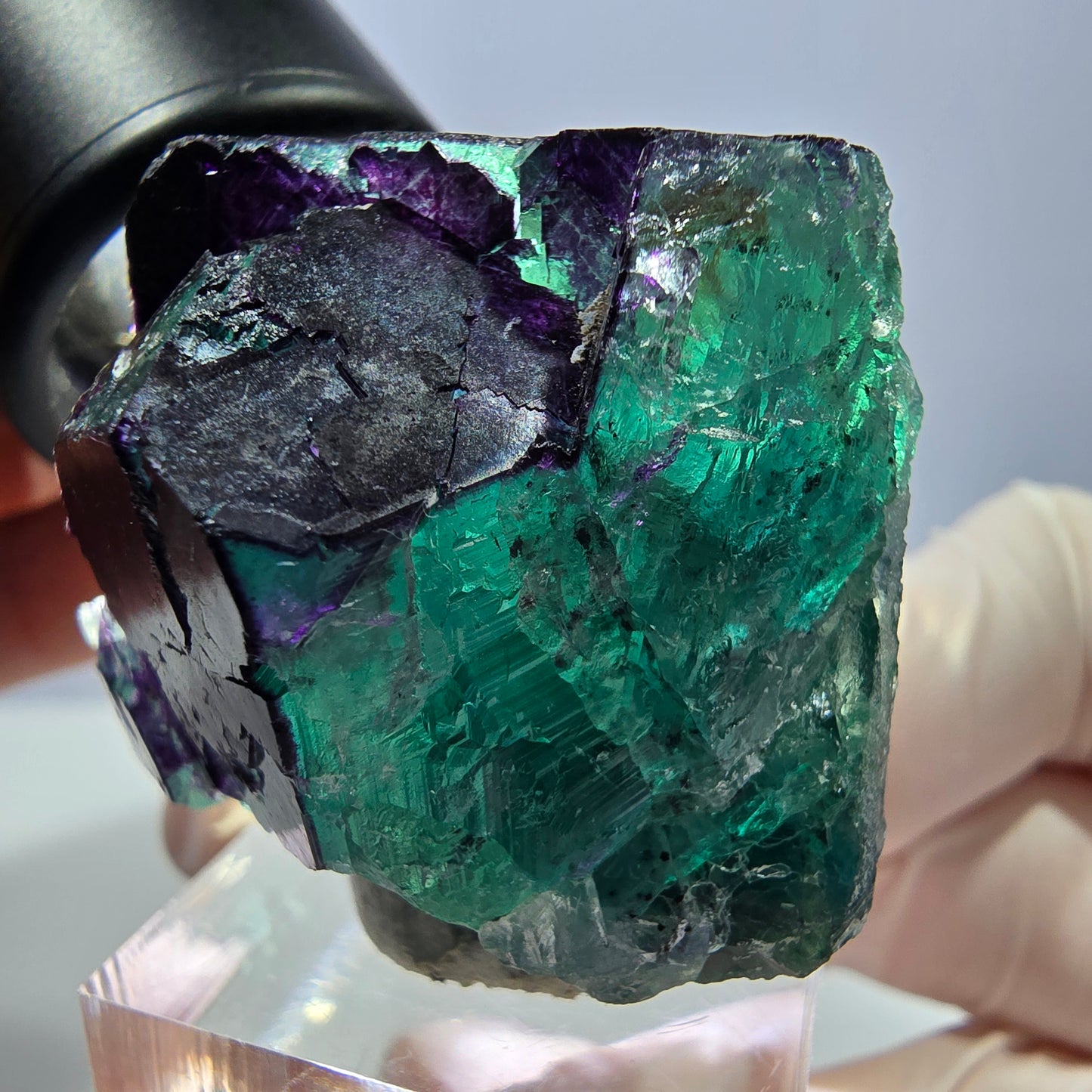 Phantom Fluorit Würfel Stufe grün lila zonal 11:11 Angel Pocket, Namibia 37*33*28mm