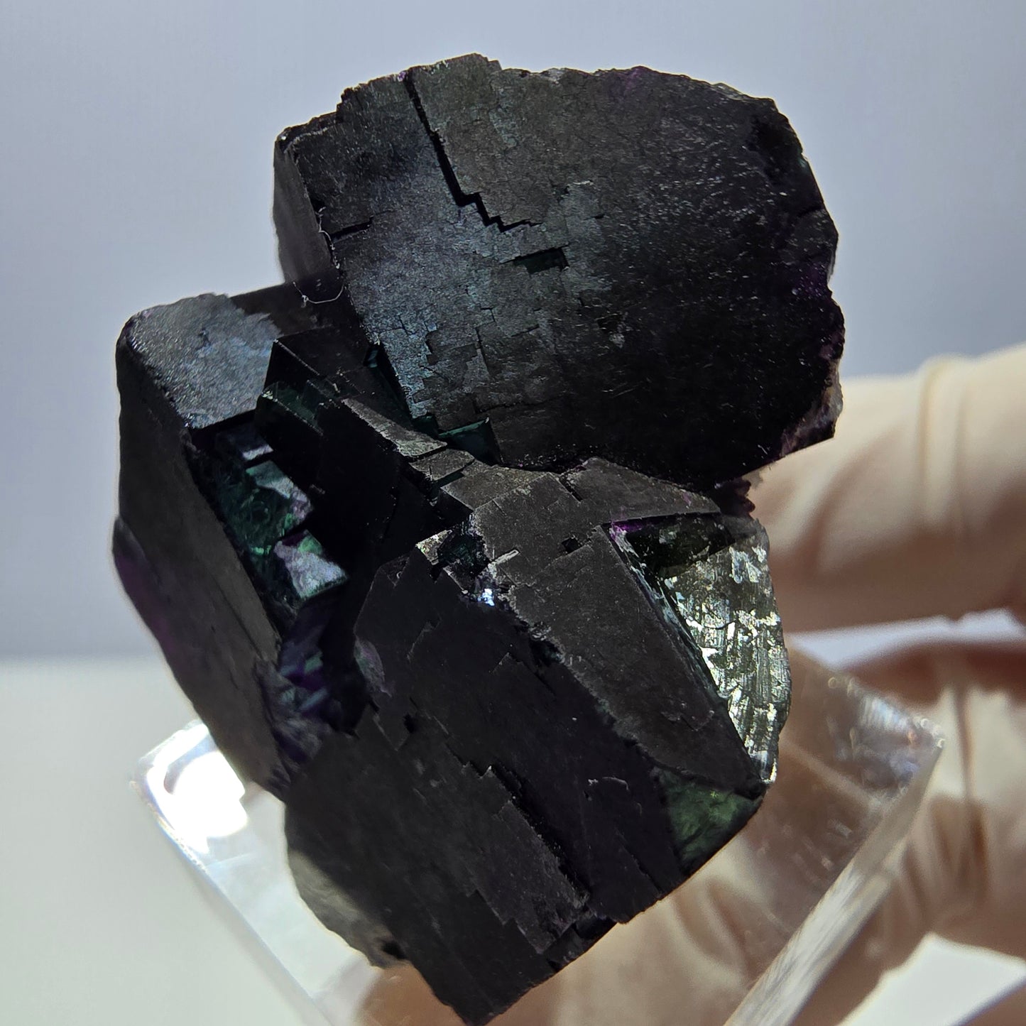 Phantom Fluorit Würfel Stufe grün lila zonal 11:11 Angel Pocket, Namibia 30*28*25mm