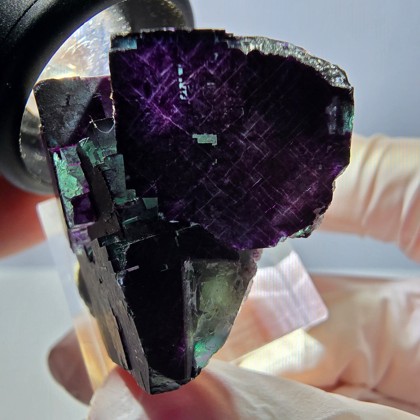Phantom Fluorit Würfel Stufe grün lila zonal 11:11 Angel Pocket, Namibia 30*28*25mm