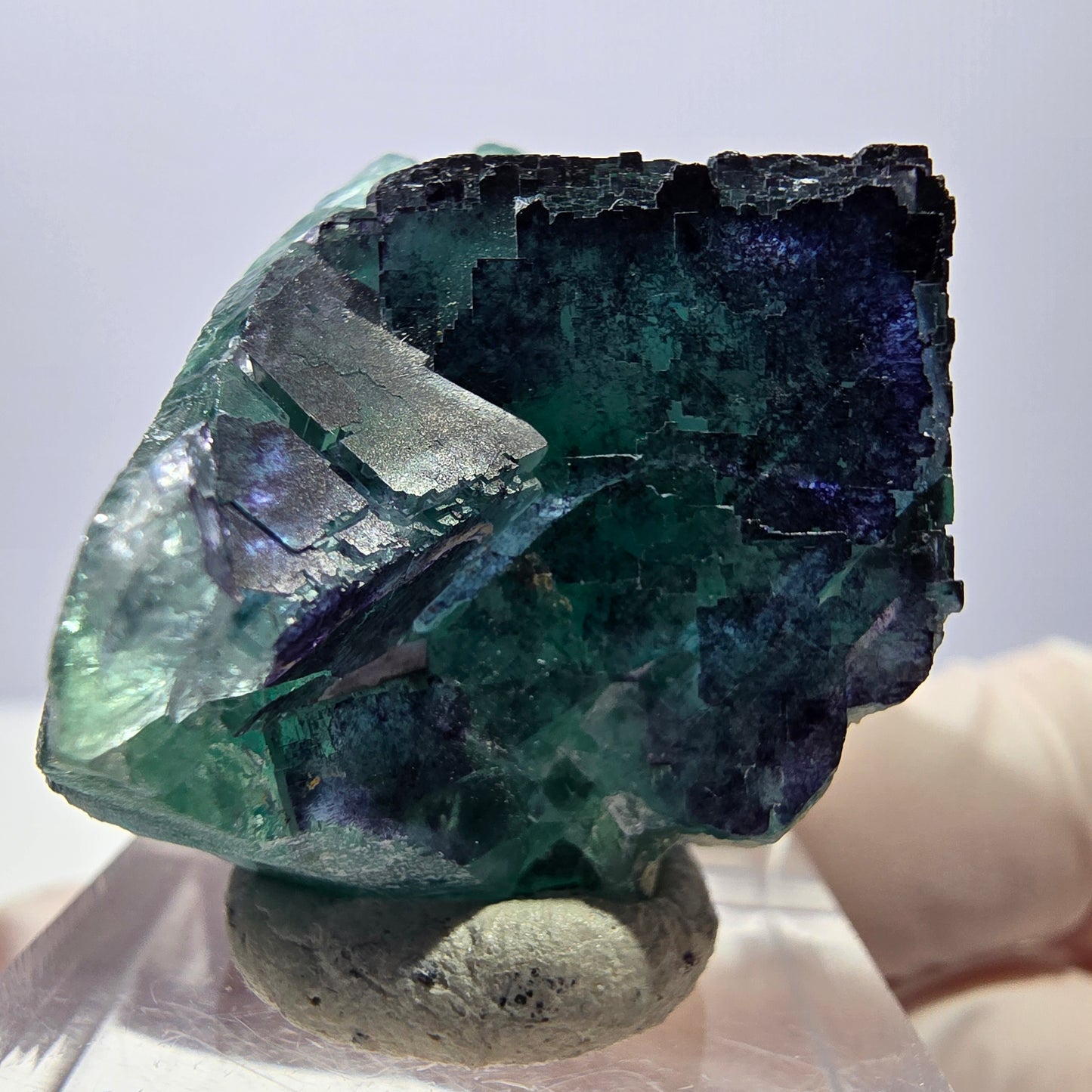 Phantom Fluorit Würfel Stufe grün lila zonal 11:11 Angel Pocket, Namibia 35*28*22mm