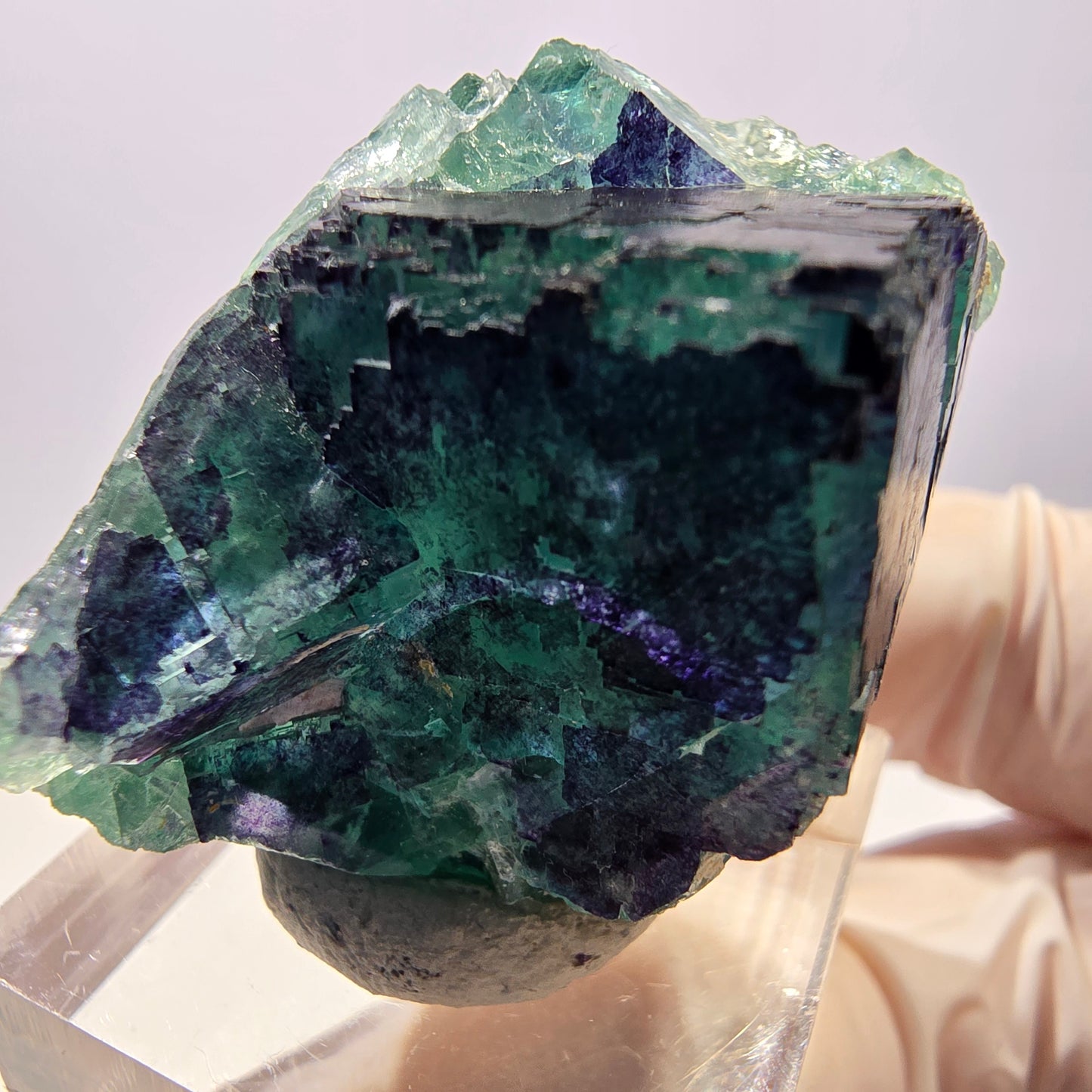 Phantom Fluorit Würfel Stufe grün lila zonal 11:11 Angel Pocket, Namibia 35*28*22mm