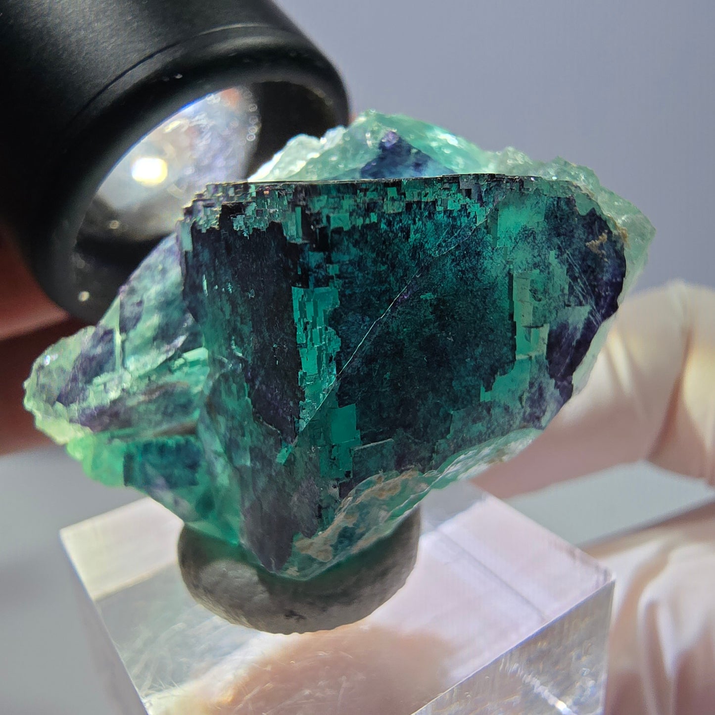 Phantom Fluorit Würfel Stufe grün lila zonal 11:11 Angel Pocket, Namibia 35*28*22mm