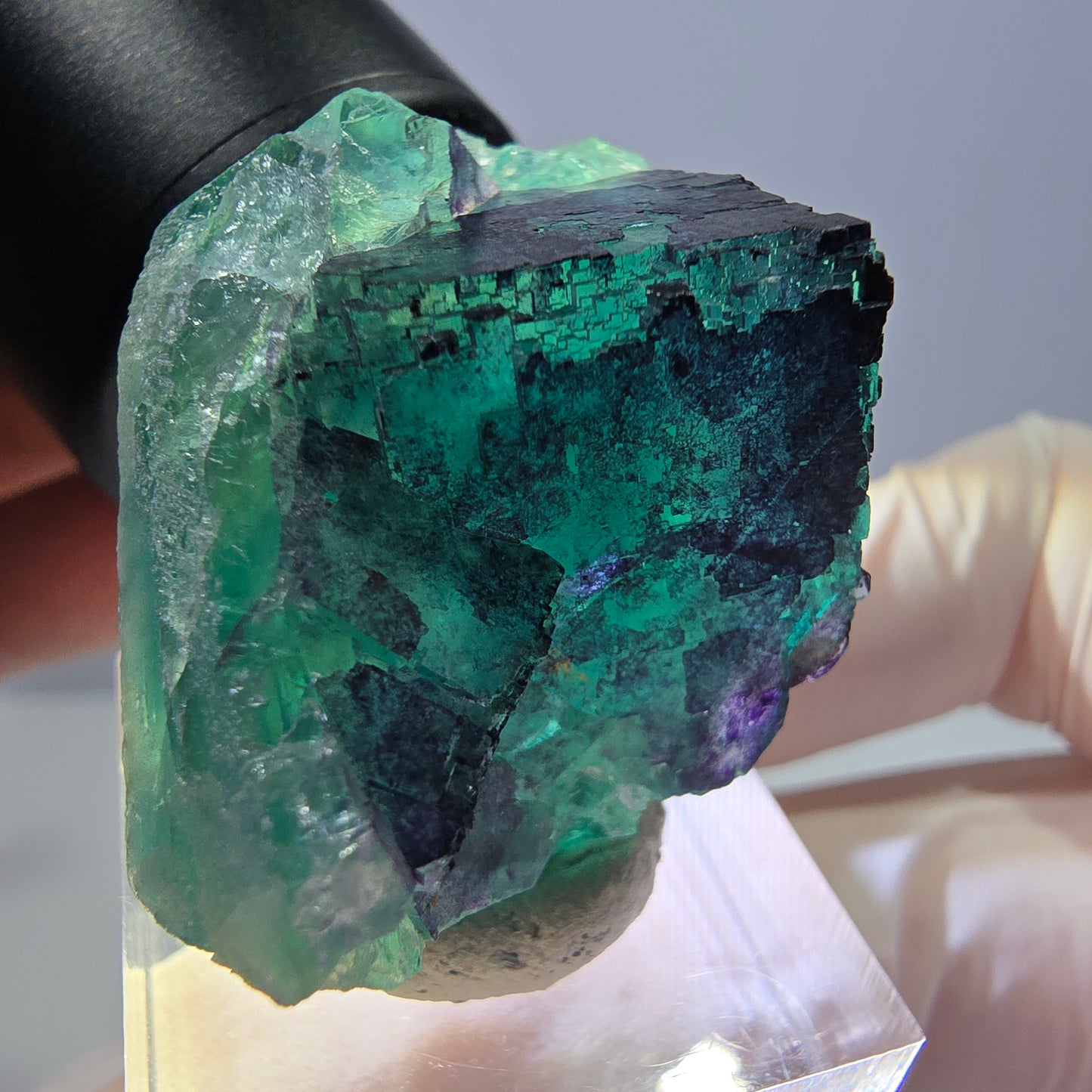 Phantom Fluorit Würfel Stufe grün lila zonal 11:11 Angel Pocket, Namibia 35*28*22mm