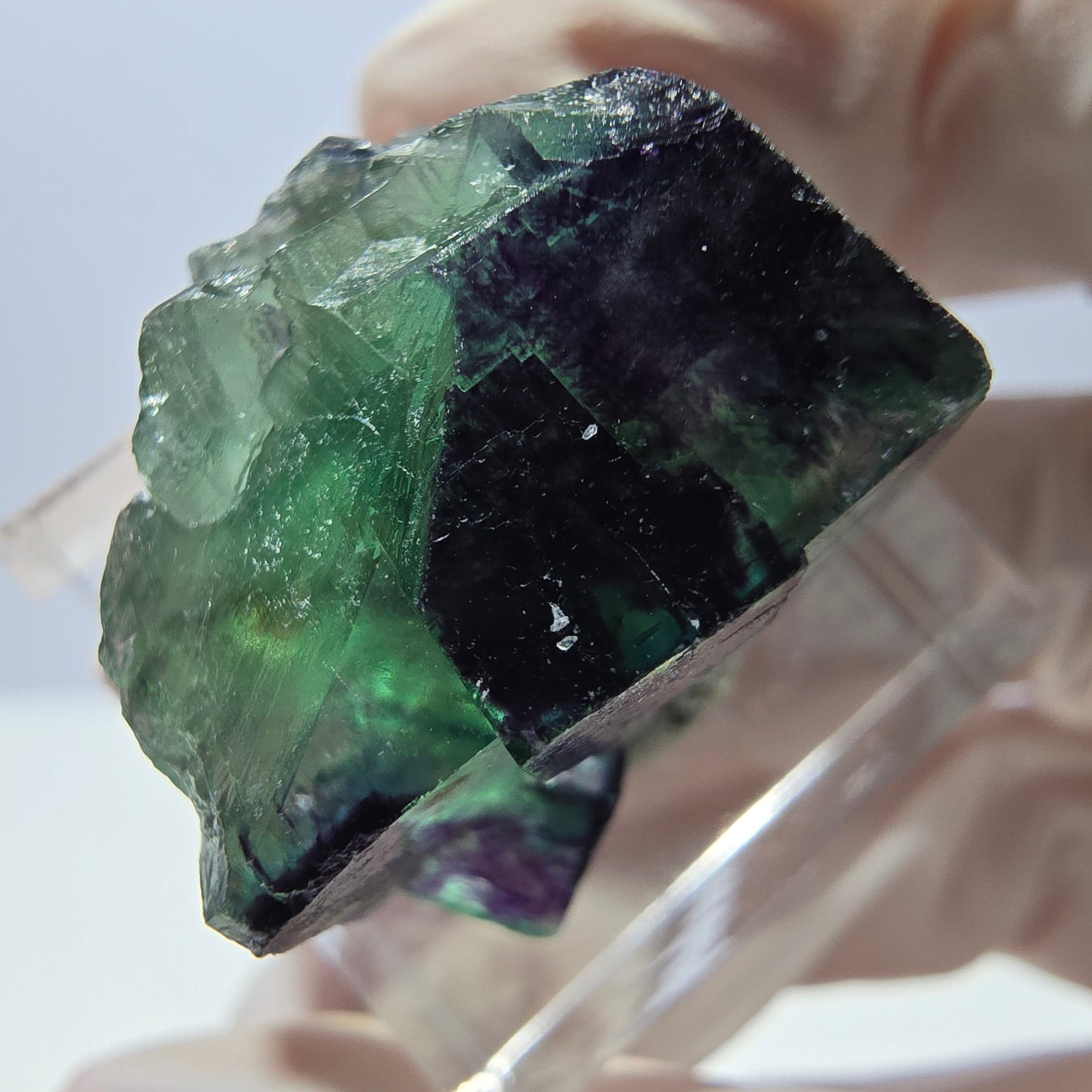 Phantom Fluorit Würfel Stufe grün lila zonal 11:11 Angel Pocket, Namibia 24*21*19mm