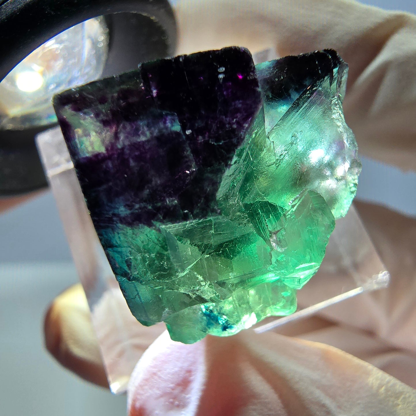 Phantom Fluorit Würfel Stufe grün lila zonal 11:11 Angel Pocket, Namibia 24*21*19mm