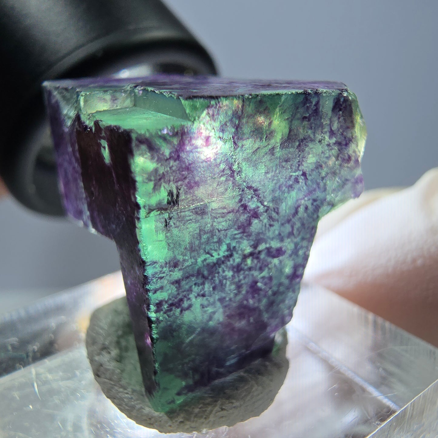 Phantom Fluorit Würfel Stufe grün lila zonal 11:11 Angel Pocket, Namibia 19*19*19mm