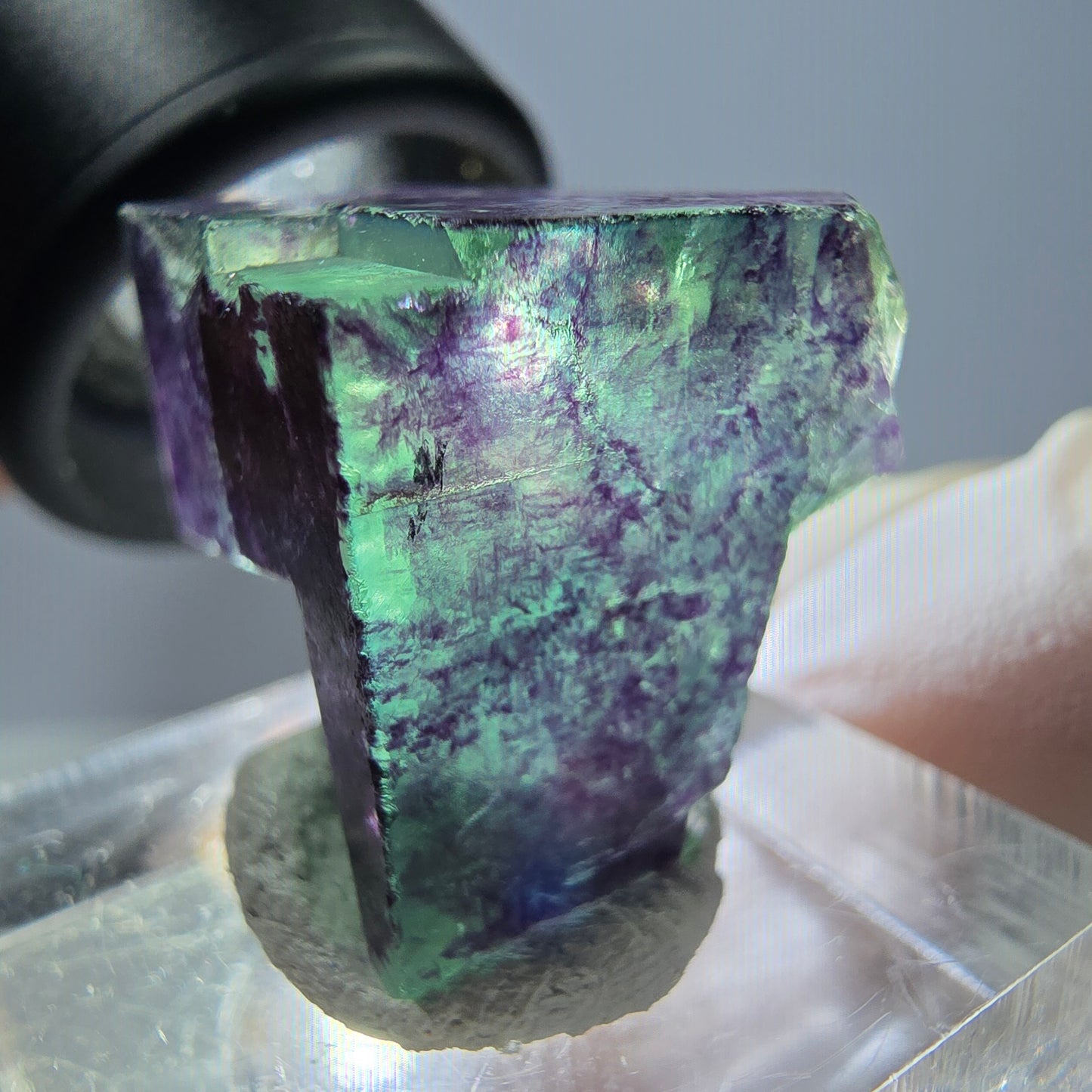 Phantom Fluorit Würfel Stufe grün lila zonal 11:11 Angel Pocket, Namibia 19*19*19mm