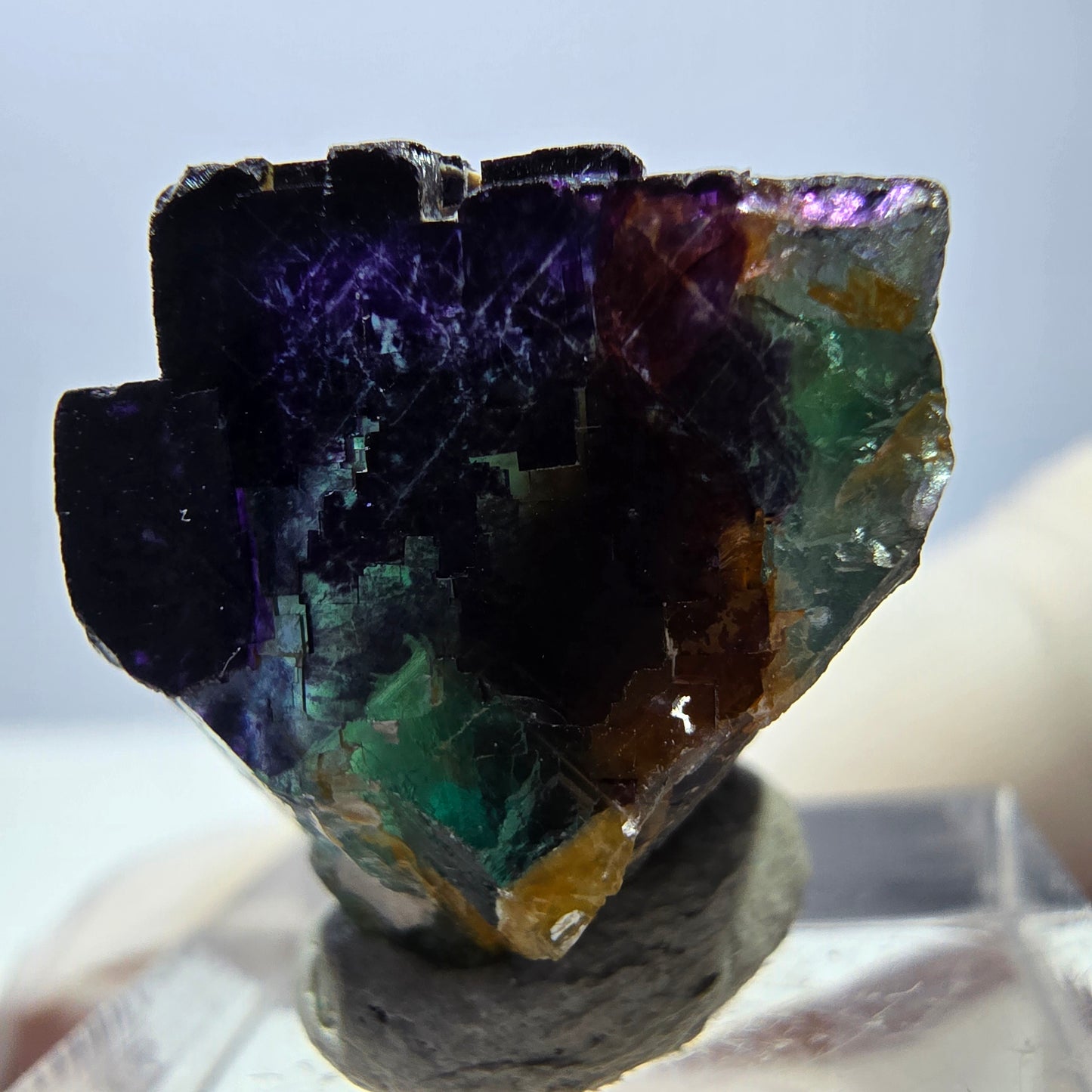 Phantom Fluorit Würfel Stufe grün lila zonal 11:11 Angel Pocket, Namibia 21*18*15mm