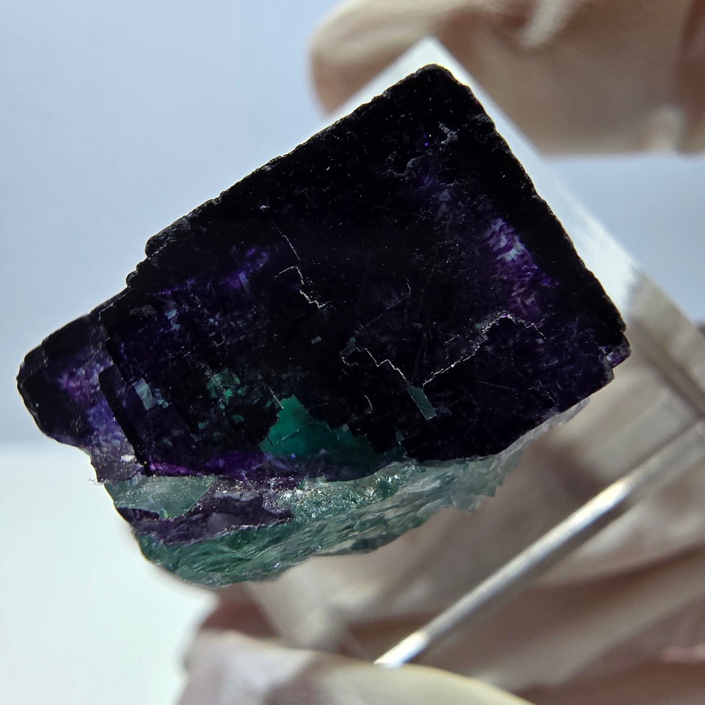 Phantom Fluorit Würfel Stufe grün lila zonal 11:11 Angel Pocket, Namibia 20*19*14mm