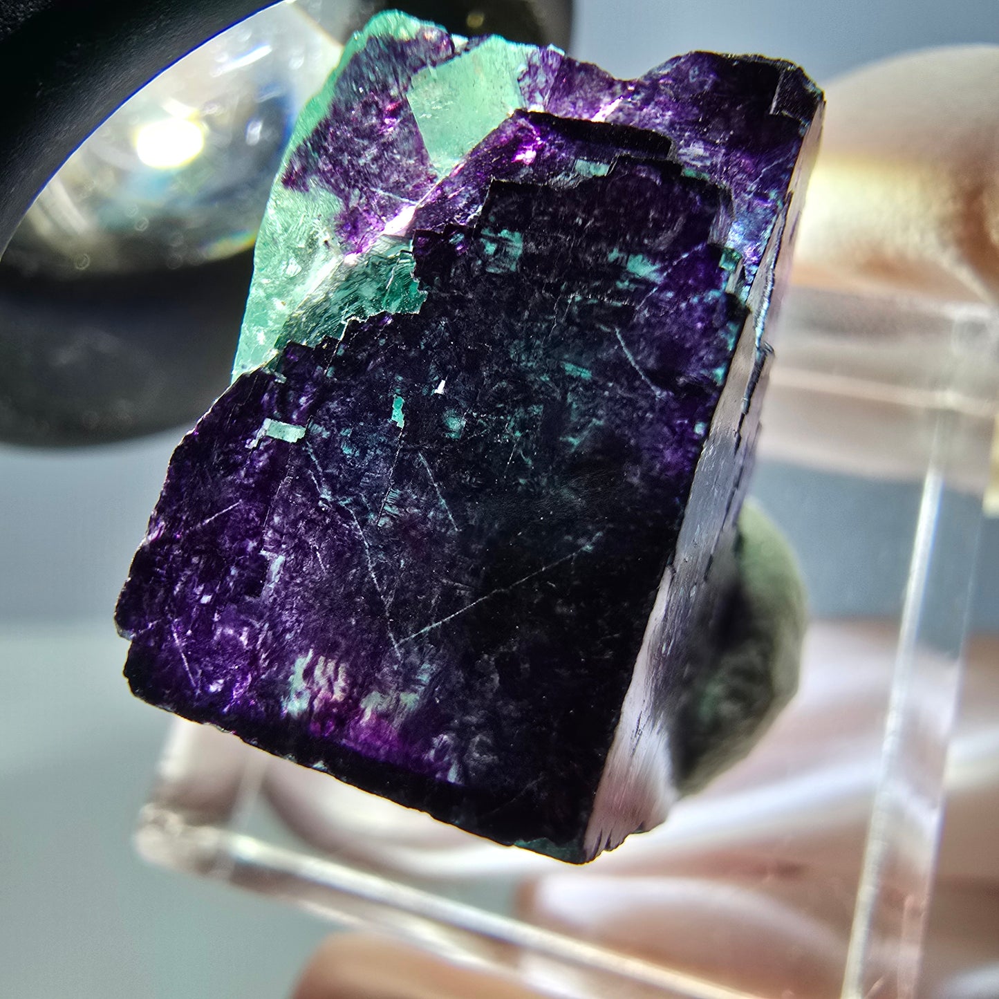 Phantom Fluorit Würfel Stufe grün lila zonal 11:11 Angel Pocket, Namibia 20*19*14mm