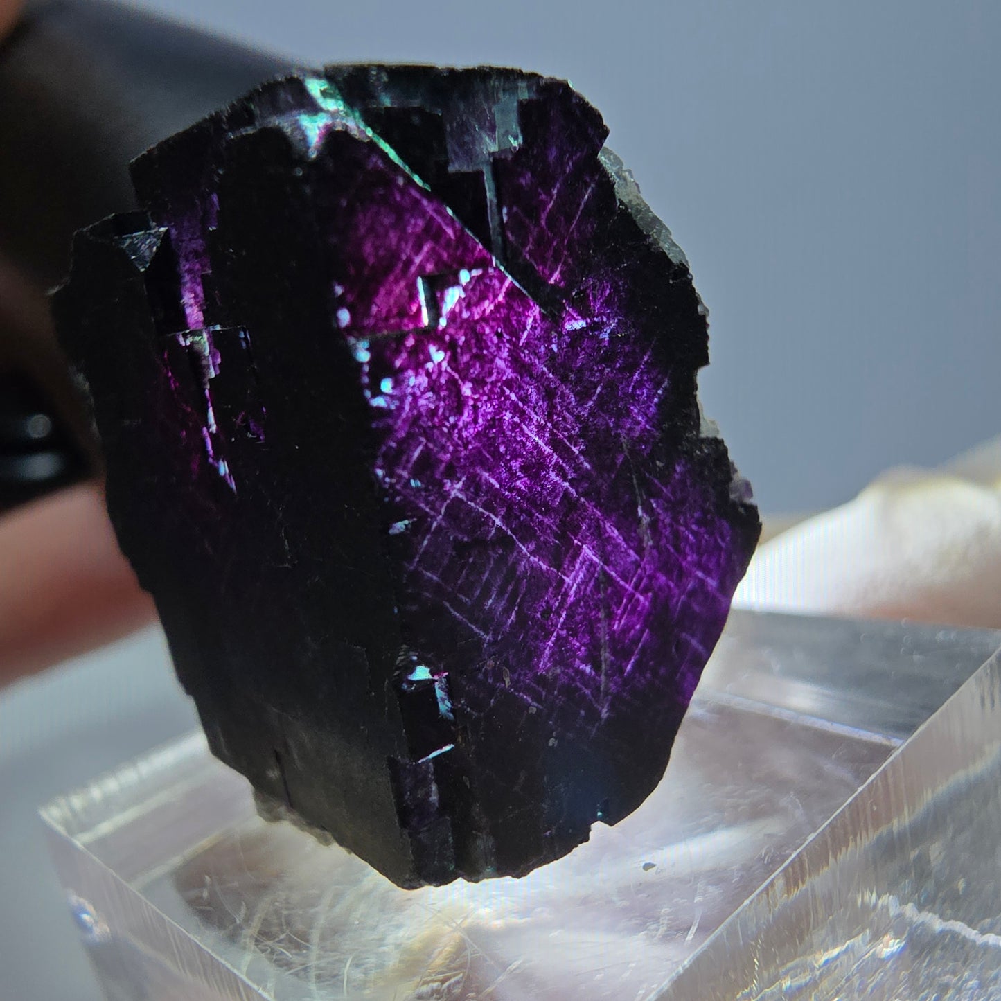 Phantom Fluorit Würfel Stufe grün lila zonal 11:11 Angel Pocket, Namibia 22*22*20mm