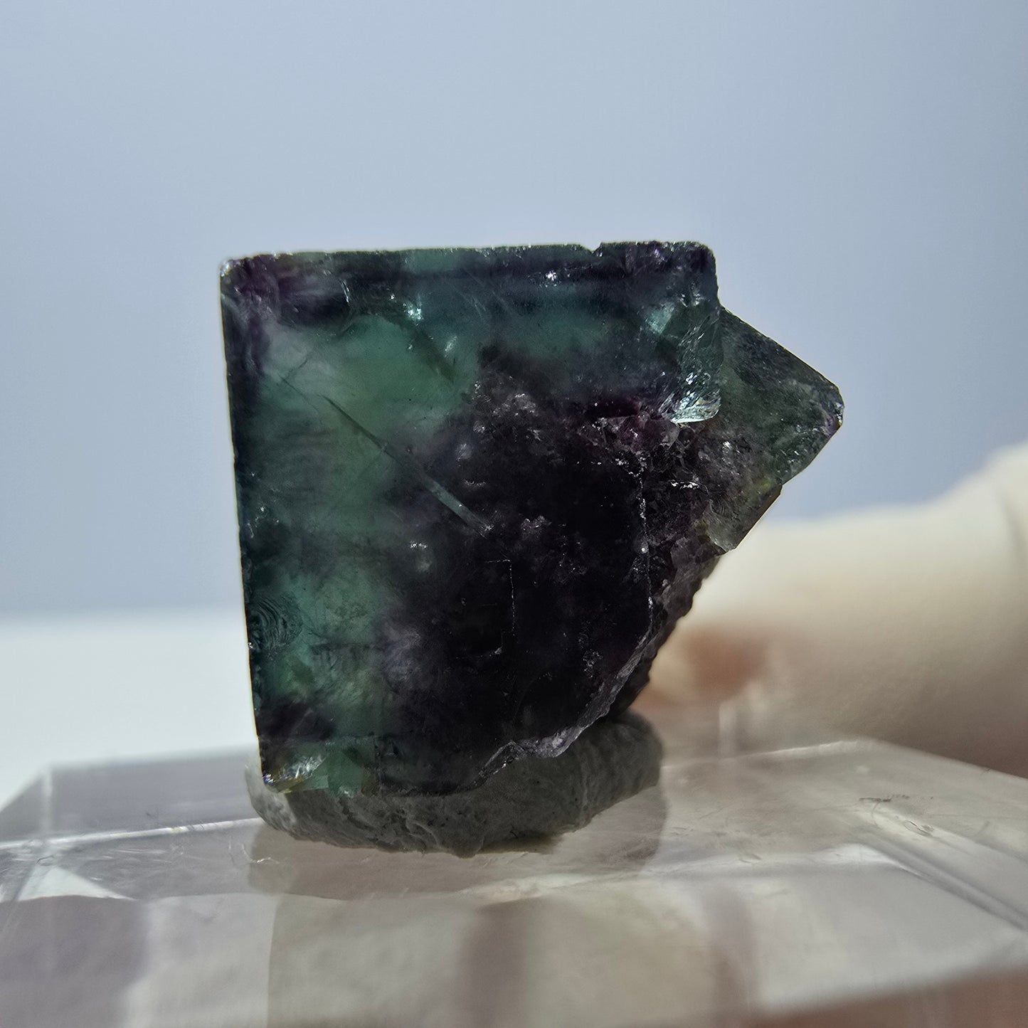 Spécimen de cube de fluorite fantôme, parqueté vert violet Okorusu, Namibie 19*18*14 mm