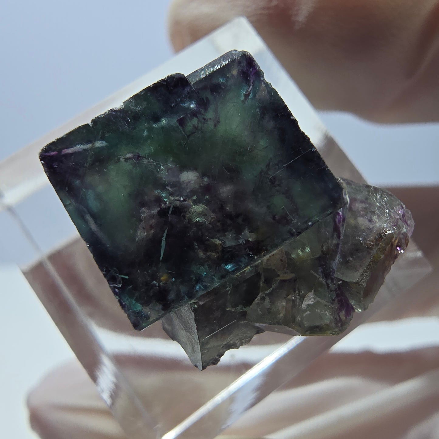 Spécimen de cube de fluorite fantôme, parqueté vert violet Okorusu, Namibie 19*18*14 mm