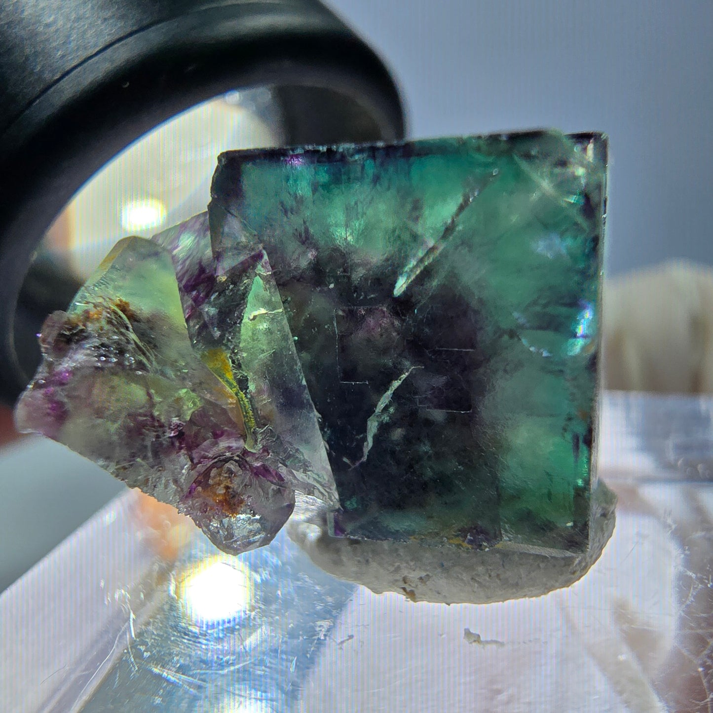 Spécimen de cube de fluorite fantôme, parqueté vert violet Okorusu, Namibie 19*18*14 mm