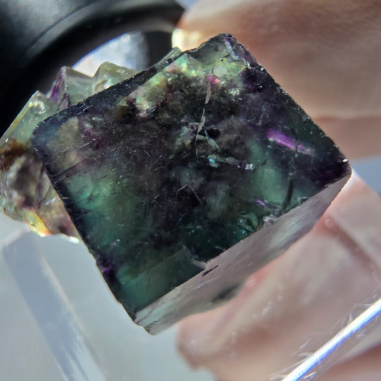 Spécimen de cube de fluorite fantôme, parqueté vert violet Okorusu, Namibie 19*18*14 mm