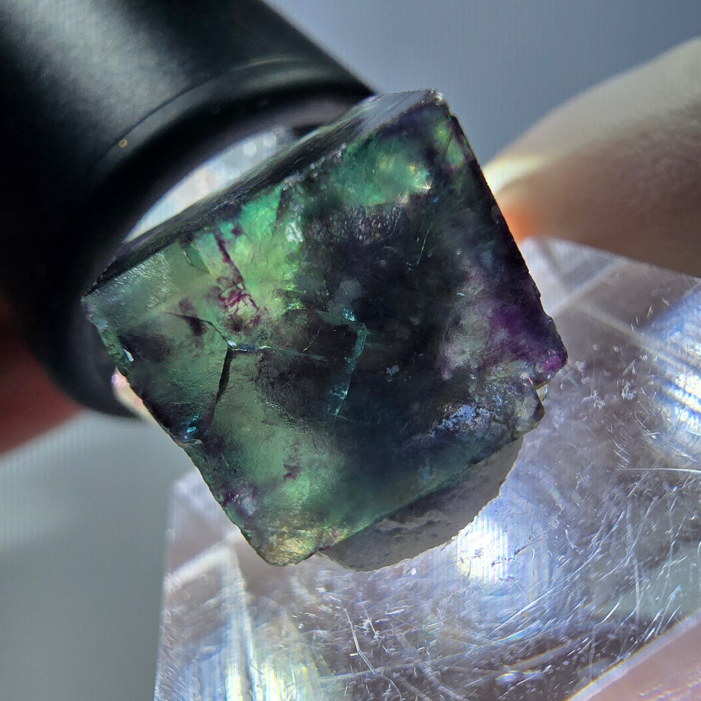 Spécimen de cube de fluorite fantôme, parqueté vert violet Okorusu, Namibie 19*18*14 mm