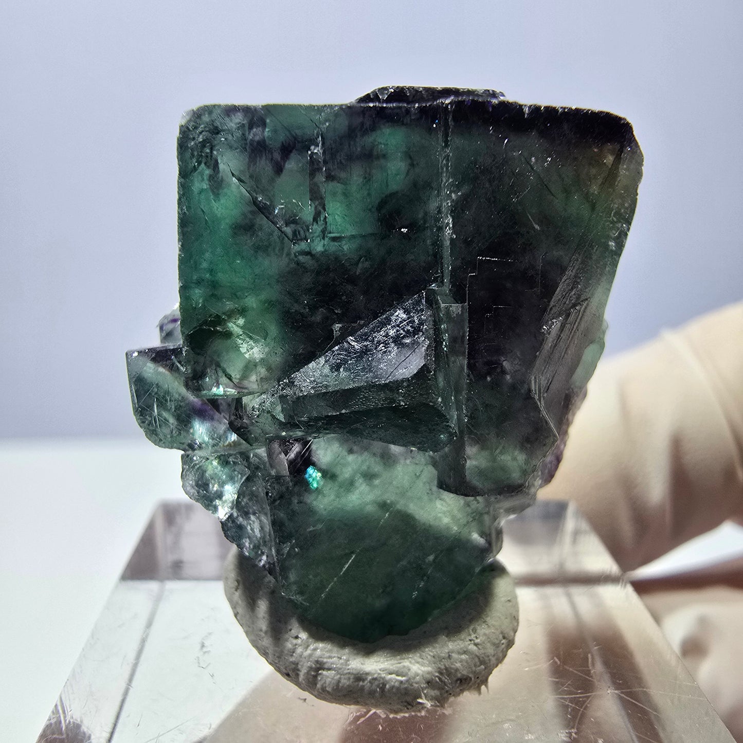 Spécimen de cube de fluorite fantôme, parqueté vert violet Okorusu, Namibie 30*26*17 mm