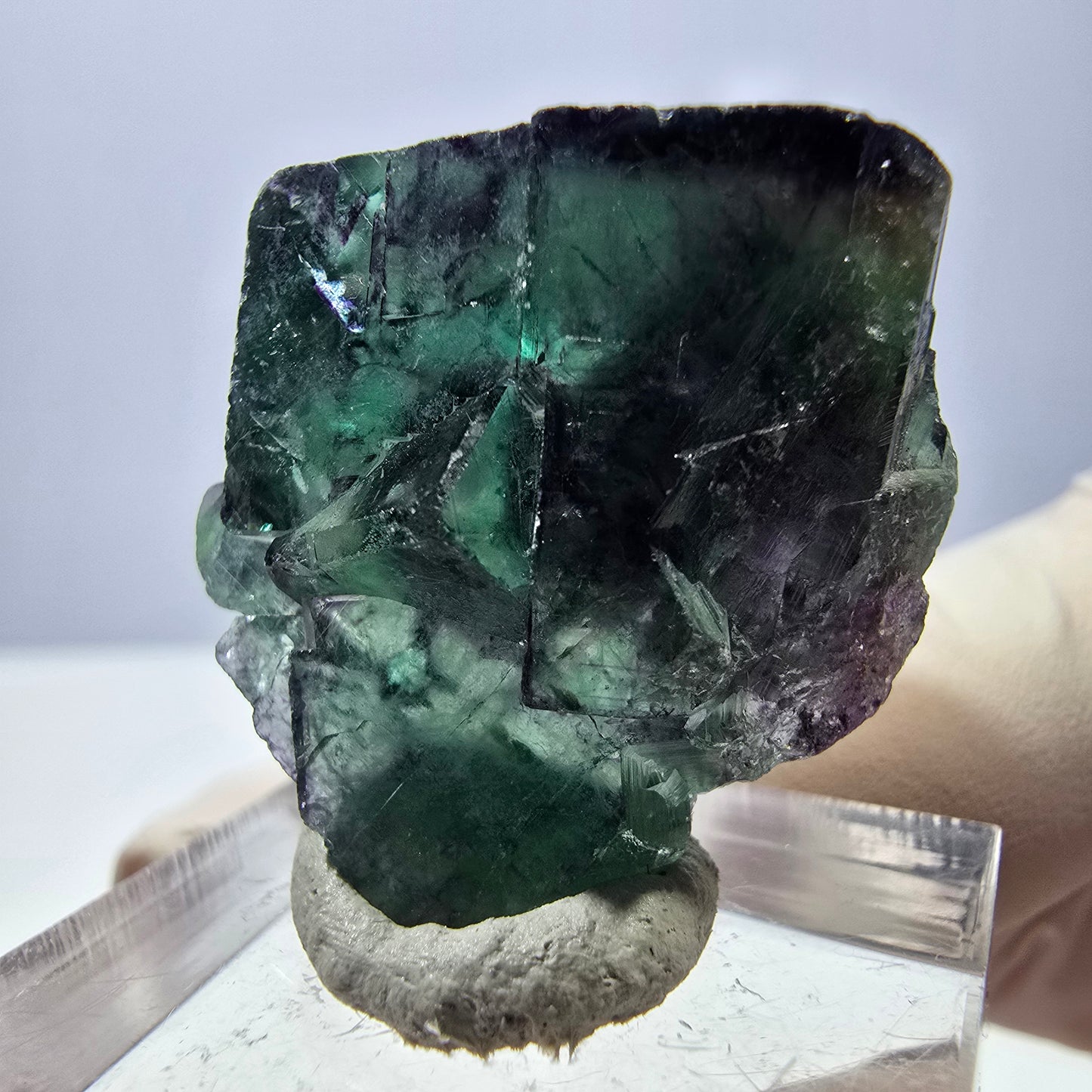 Spécimen de cube de fluorite fantôme, parqueté vert violet Okorusu, Namibie 30*26*17 mm