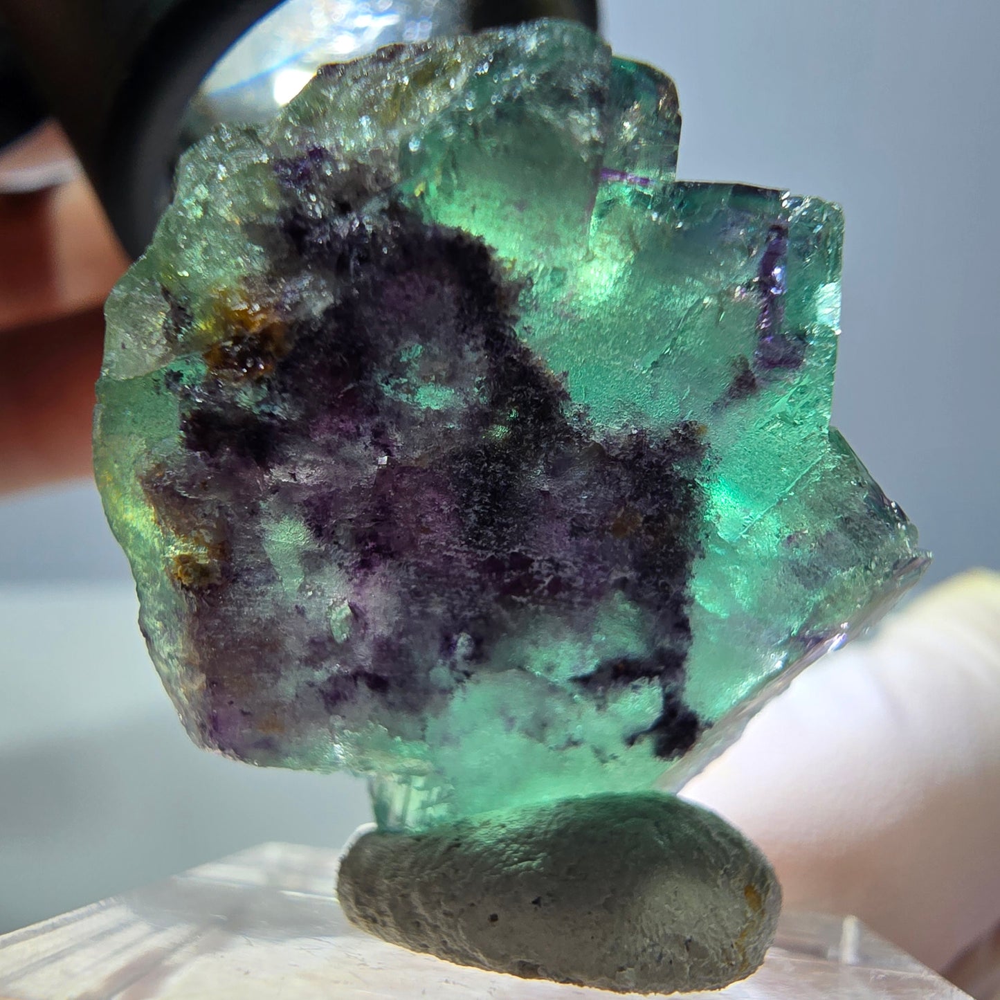 Spécimen de cube de fluorite fantôme, parqueté vert violet Okorusu, Namibie 30*26*17 mm