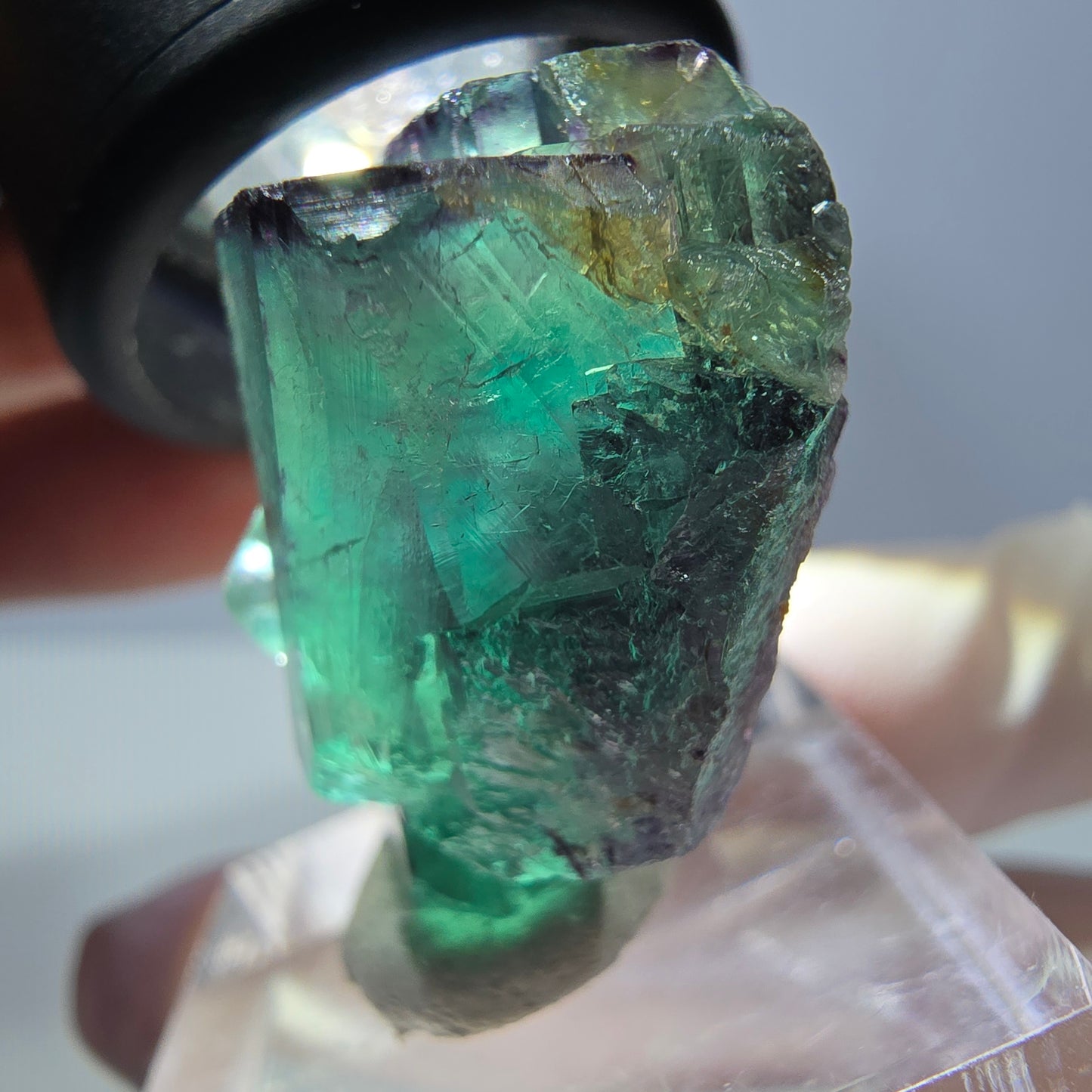 Spécimen de cube de fluorite fantôme, parqueté vert violet Okorusu, Namibie 30*26*17 mm