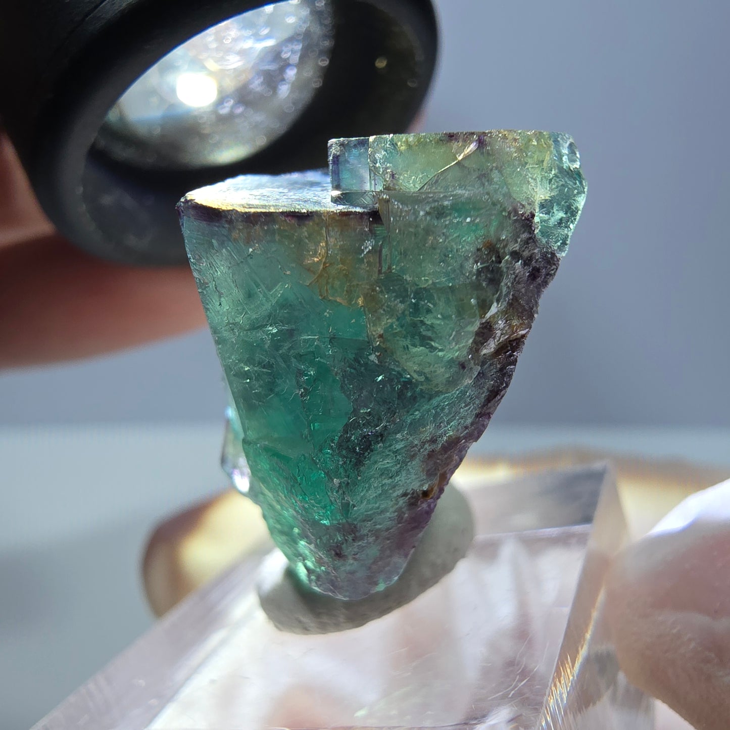 Spécimen de cube de fluorite fantôme, parqueté vert violet Okorusu, Namibie 30*26*17 mm