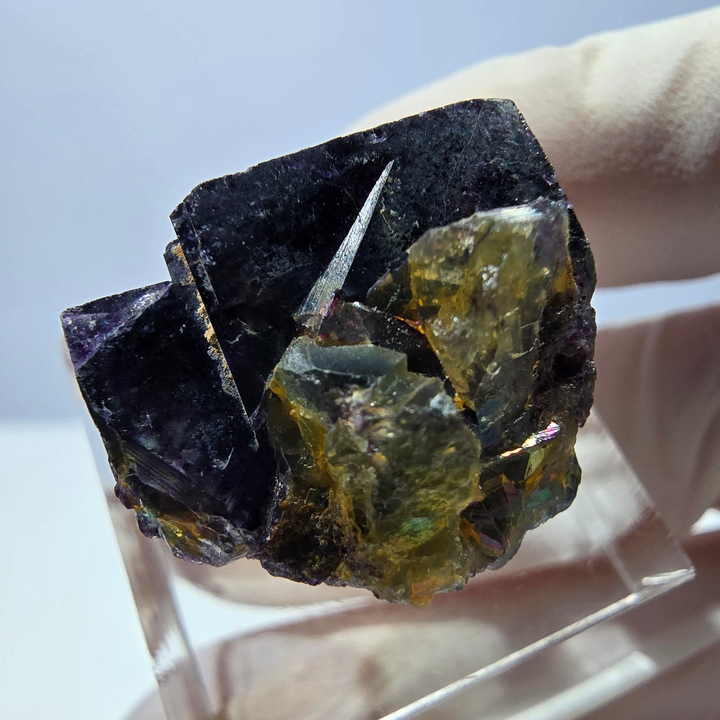 Spécimen de cube de fluorite fantôme, parqueté vert violet Okorusu, Namibie 22*20*17 mm