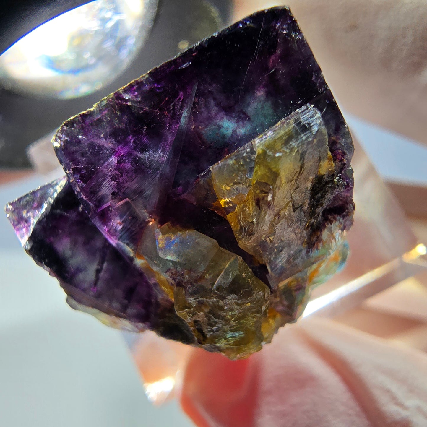 Spécimen de cube de fluorite fantôme, parqueté vert violet Okorusu, Namibie 22*20*17 mm