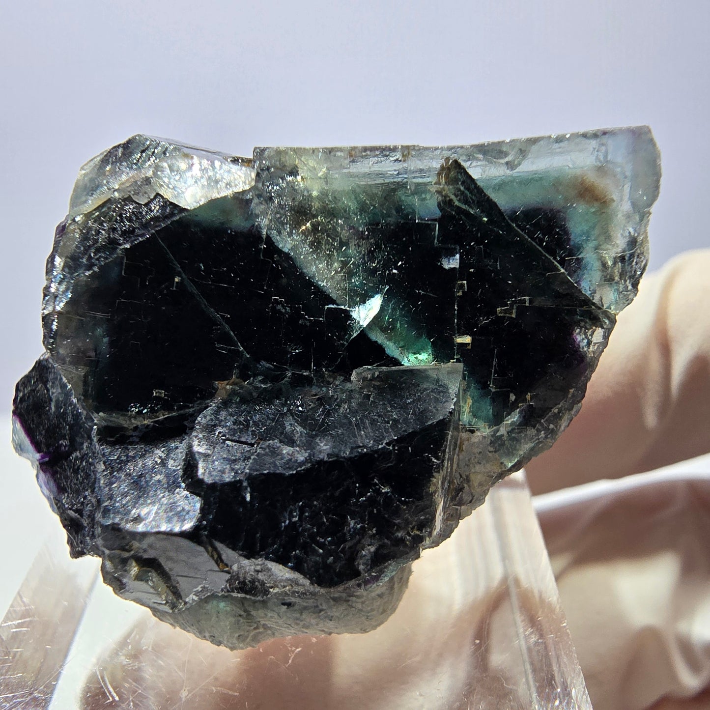 Spécimen de cube de fluorite fantôme, parqueté vert violet Okorusu, Namibie 35*22*15 mm