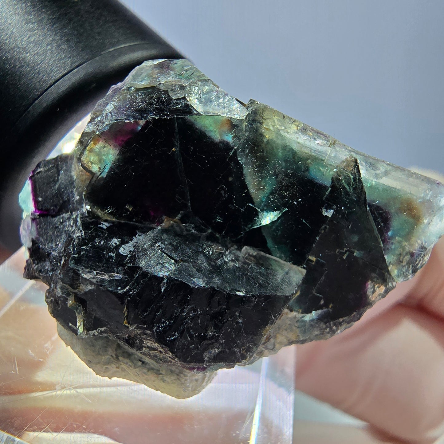 Spécimen de cube de fluorite fantôme, parqueté vert violet Okorusu, Namibie 35*22*15 mm