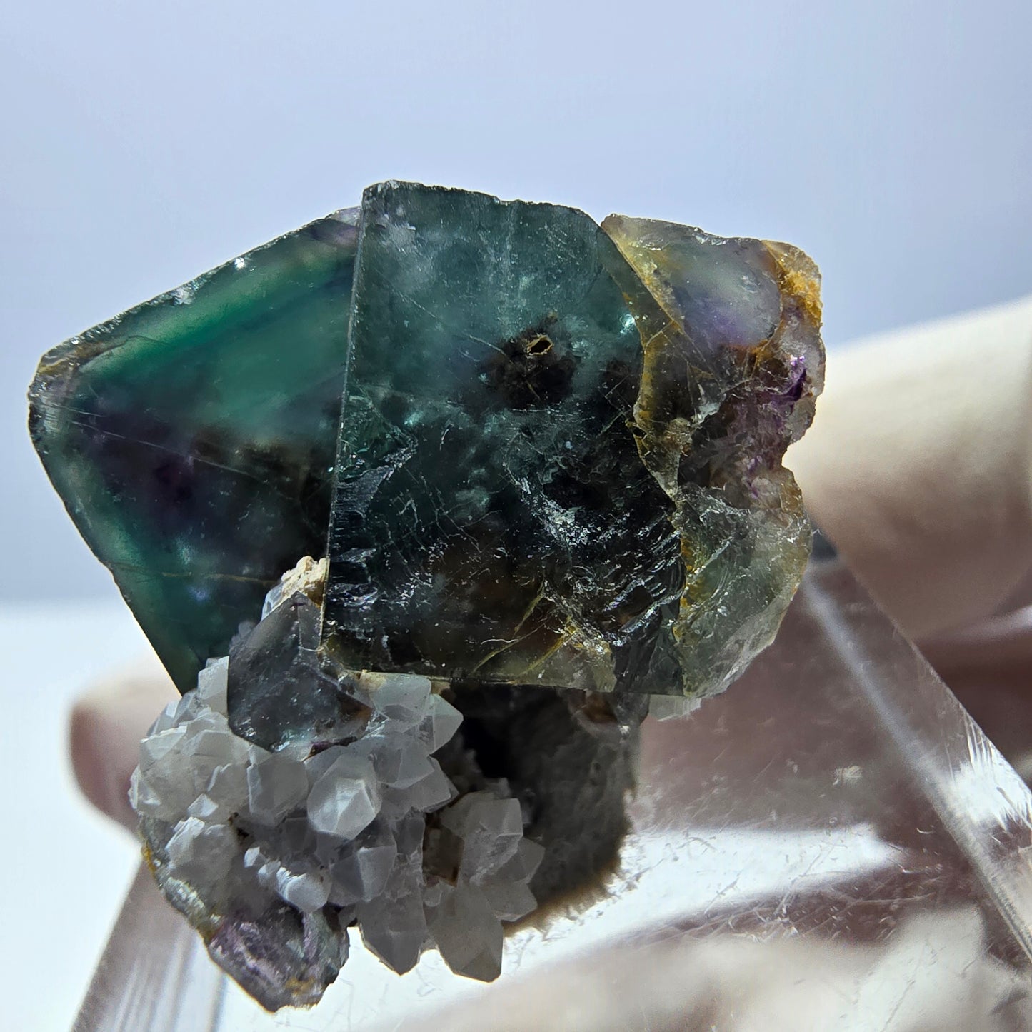 Spécimen de cube de fluorite fantôme, parqueté vert violet Okorusu, Namibie 25*24*16 mm