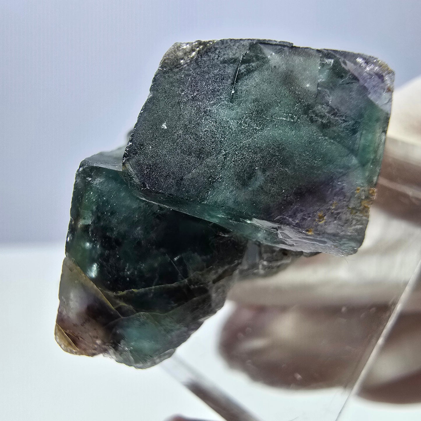 Spécimen de cube de fluorite fantôme, parqueté vert violet Okorusu, Namibie 25*24*16 mm