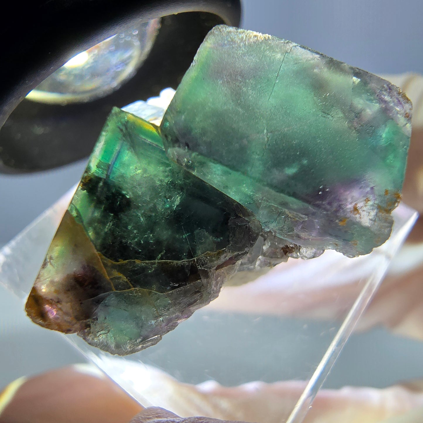 Spécimen de cube de fluorite fantôme, parqueté vert violet Okorusu, Namibie 25*24*16 mm