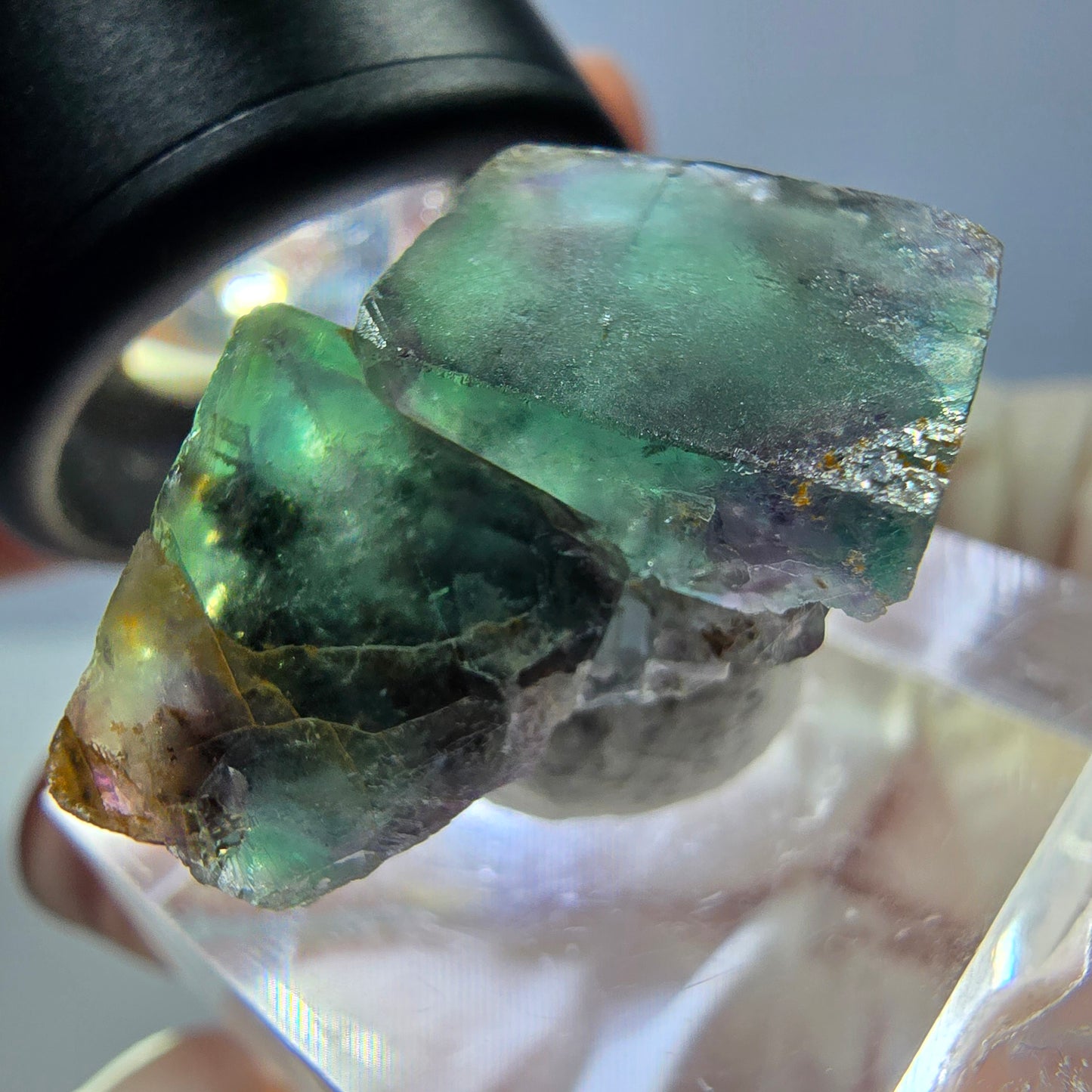 Spécimen de cube de fluorite fantôme, parqueté vert violet Okorusu, Namibie 25*24*16 mm