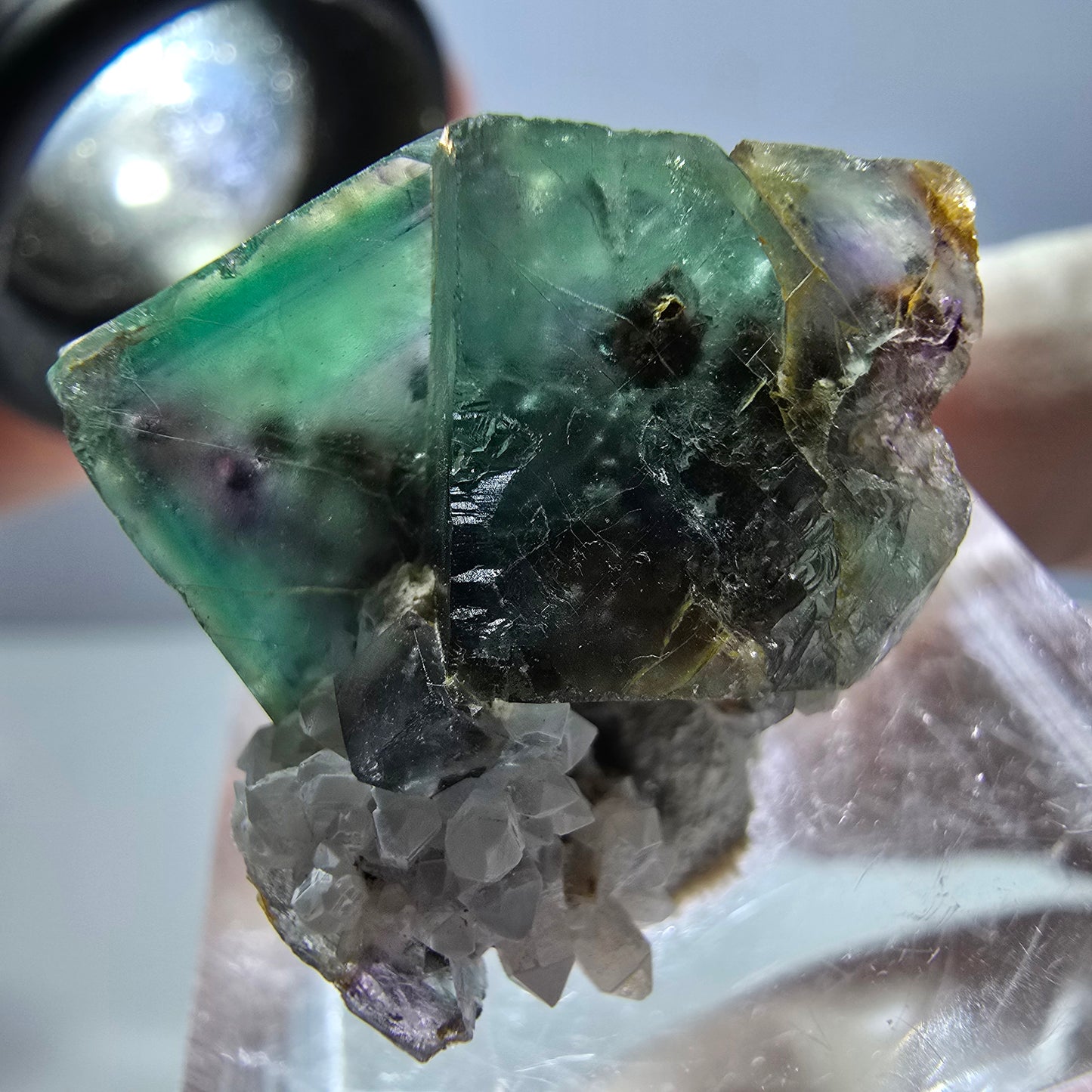 Spécimen de cube de fluorite fantôme, parqueté vert violet Okorusu, Namibie 25*24*16 mm
