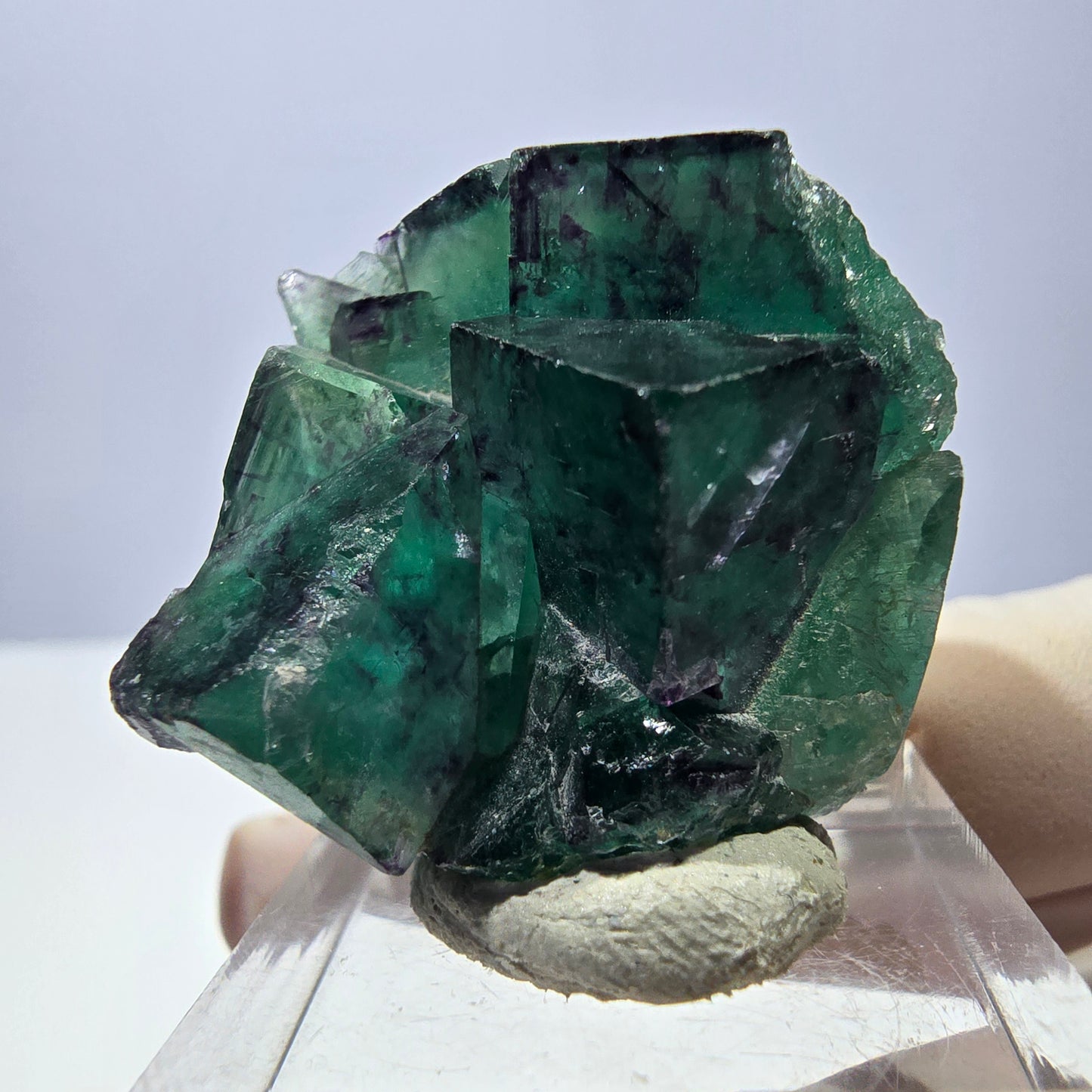 Spécimen de cube de fluorite fantôme, parqueté vert violet Okorusu, Namibie 32 x 30 x 20 mm