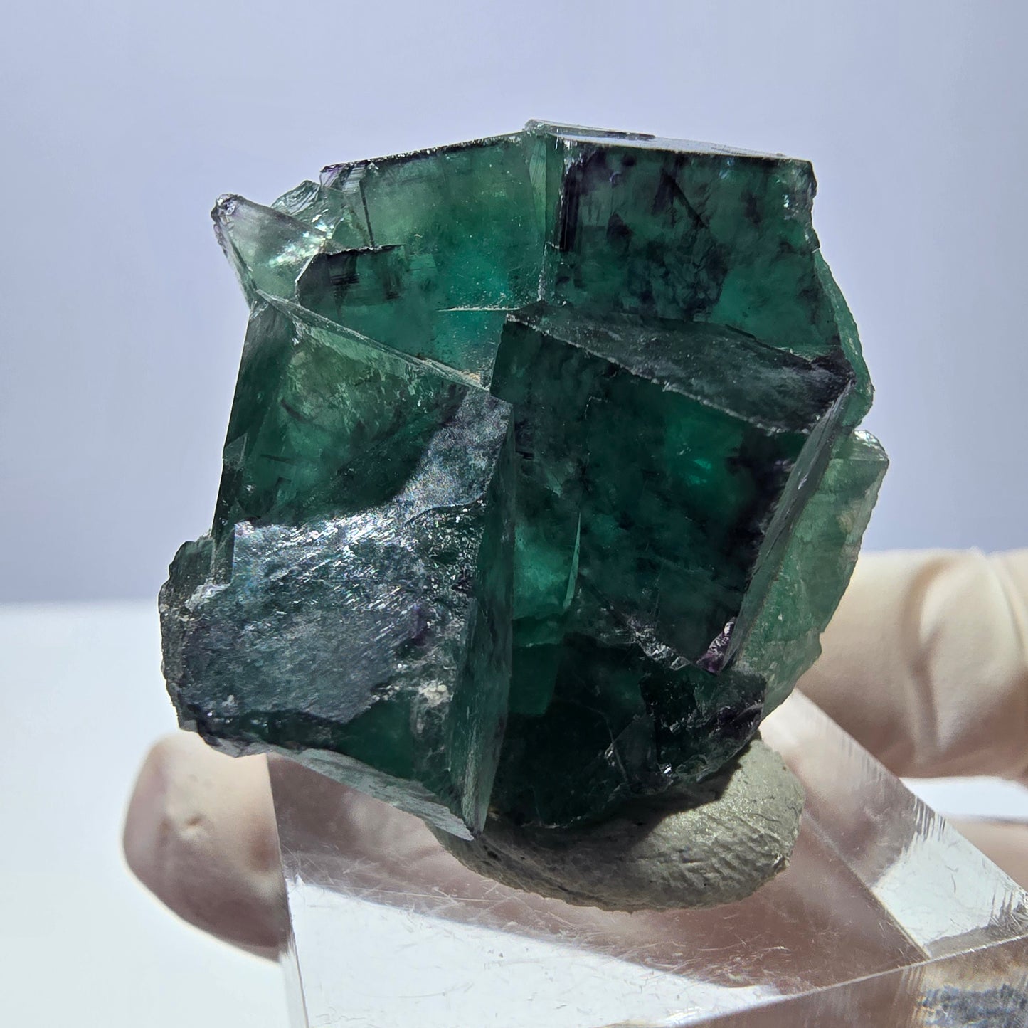 Spécimen de cube de fluorite fantôme, parqueté vert violet Okorusu, Namibie 32 x 30 x 20 mm