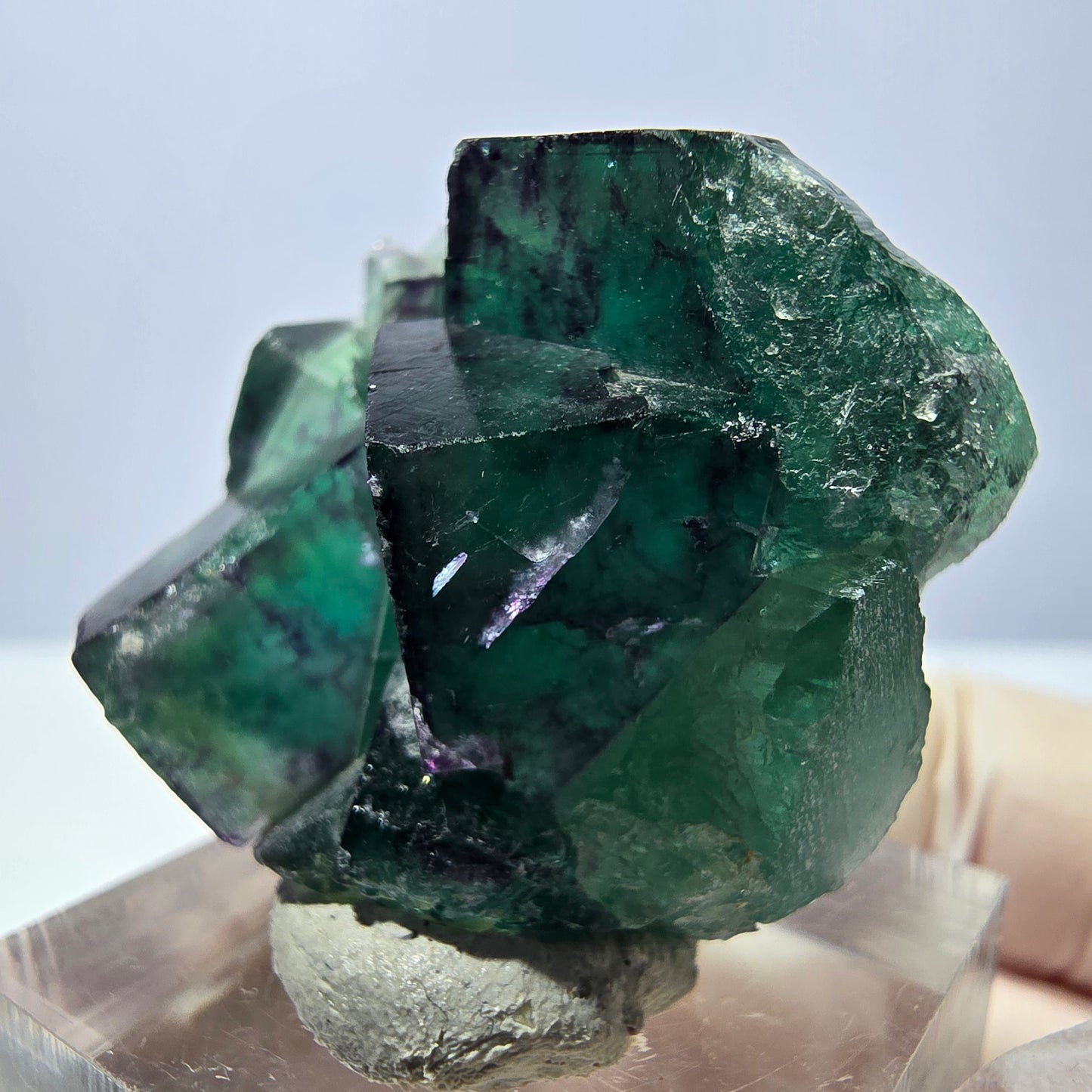 Spécimen de cube de fluorite fantôme, parqueté vert violet Okorusu, Namibie 32 x 30 x 20 mm