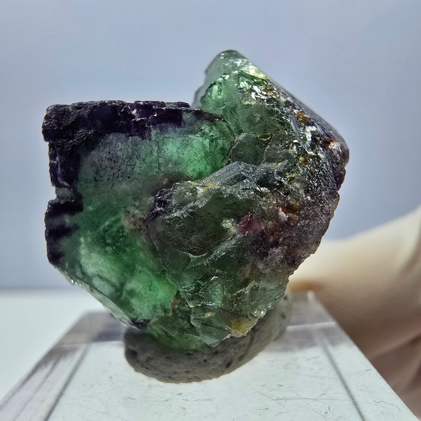 Spécimen de cube de fluorite fantôme, parqueté vert violet Okorusu, Namibie 27*25*20 mm